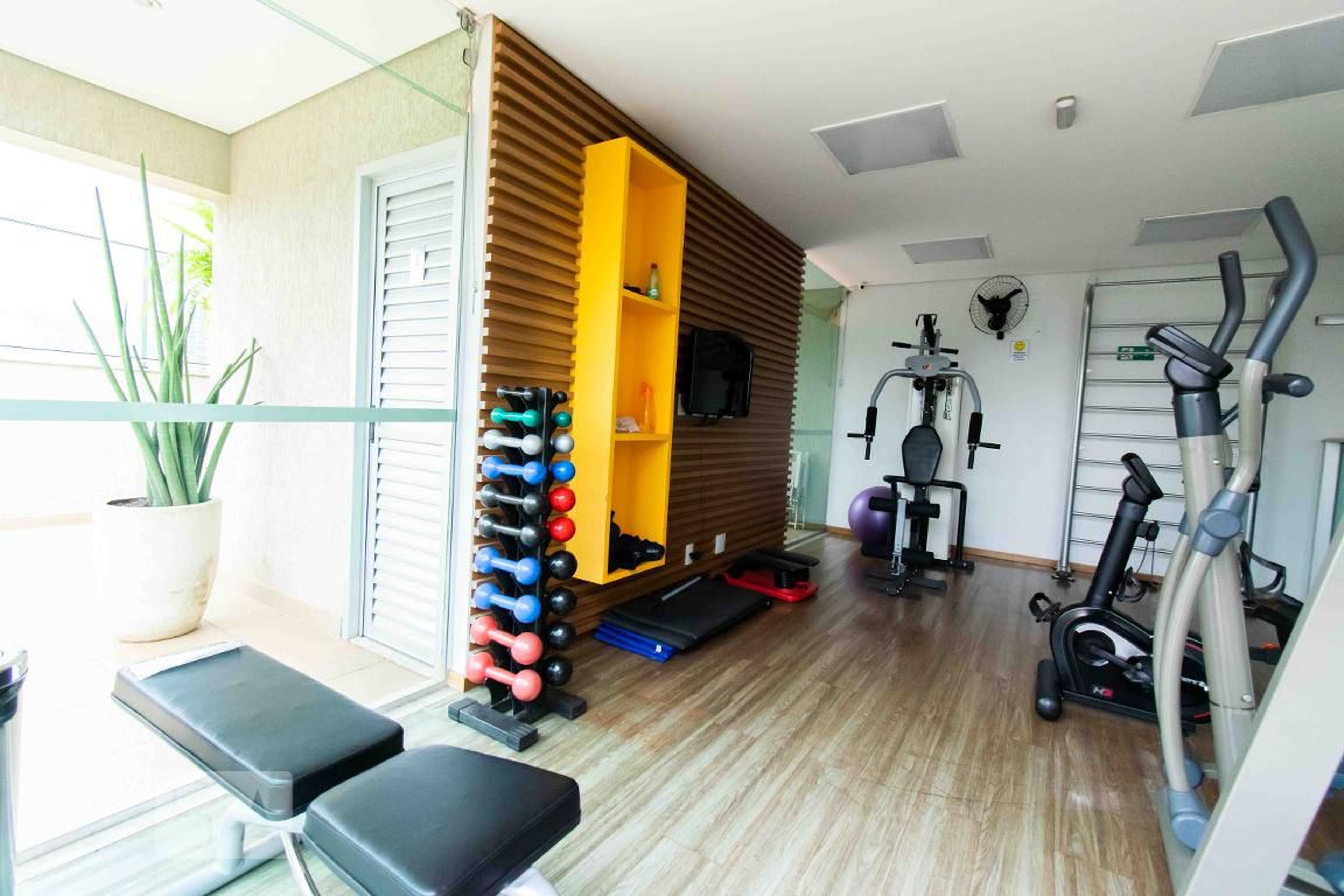 Academia - Matheus Muniz