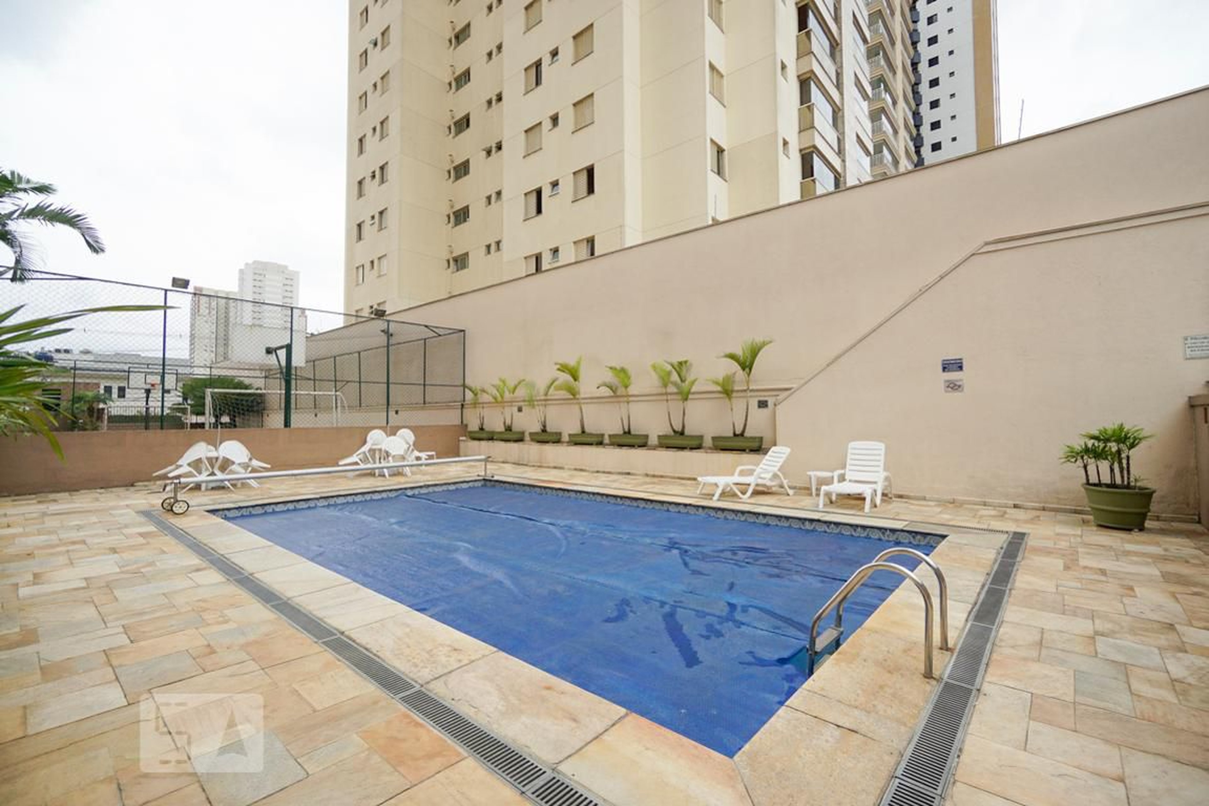 Piscina adulto - renoir