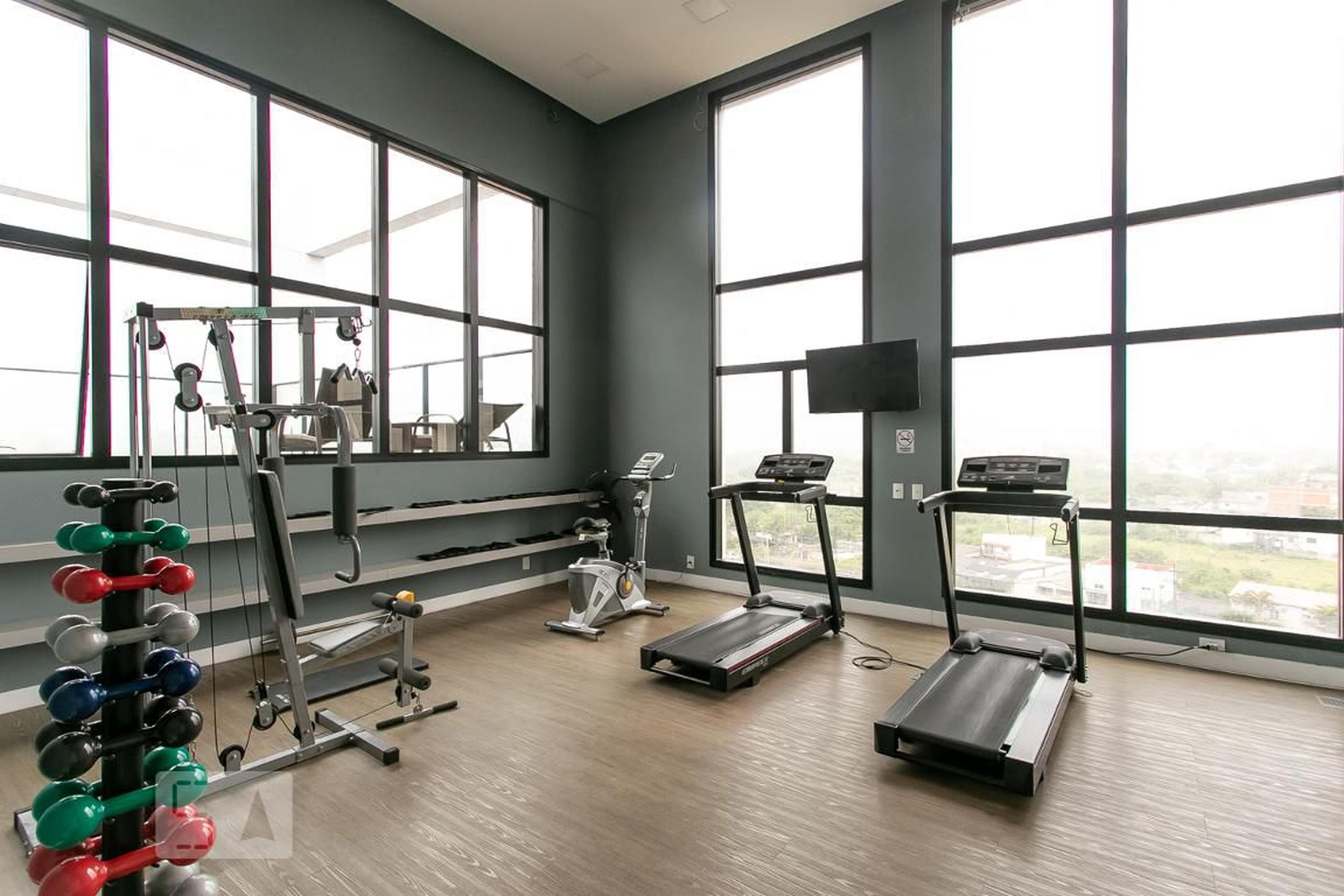 Academia - Murano Home