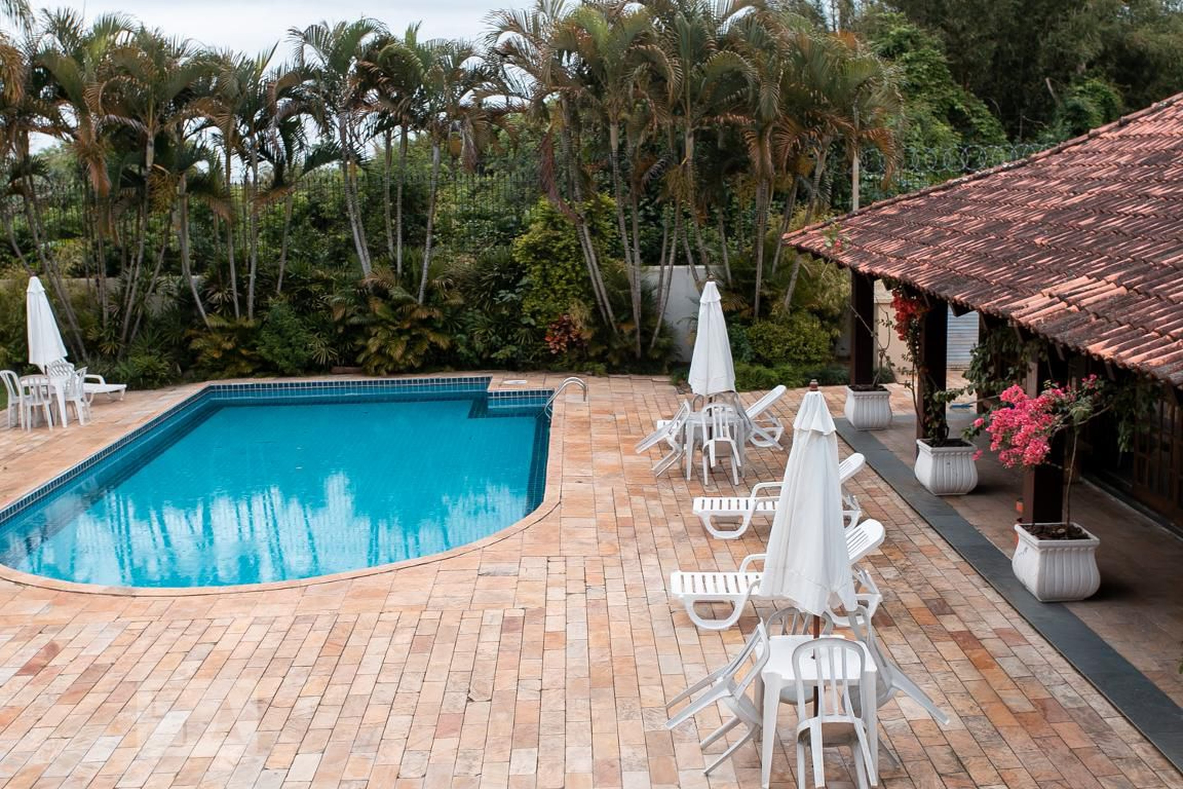 Piscina - Green Hill