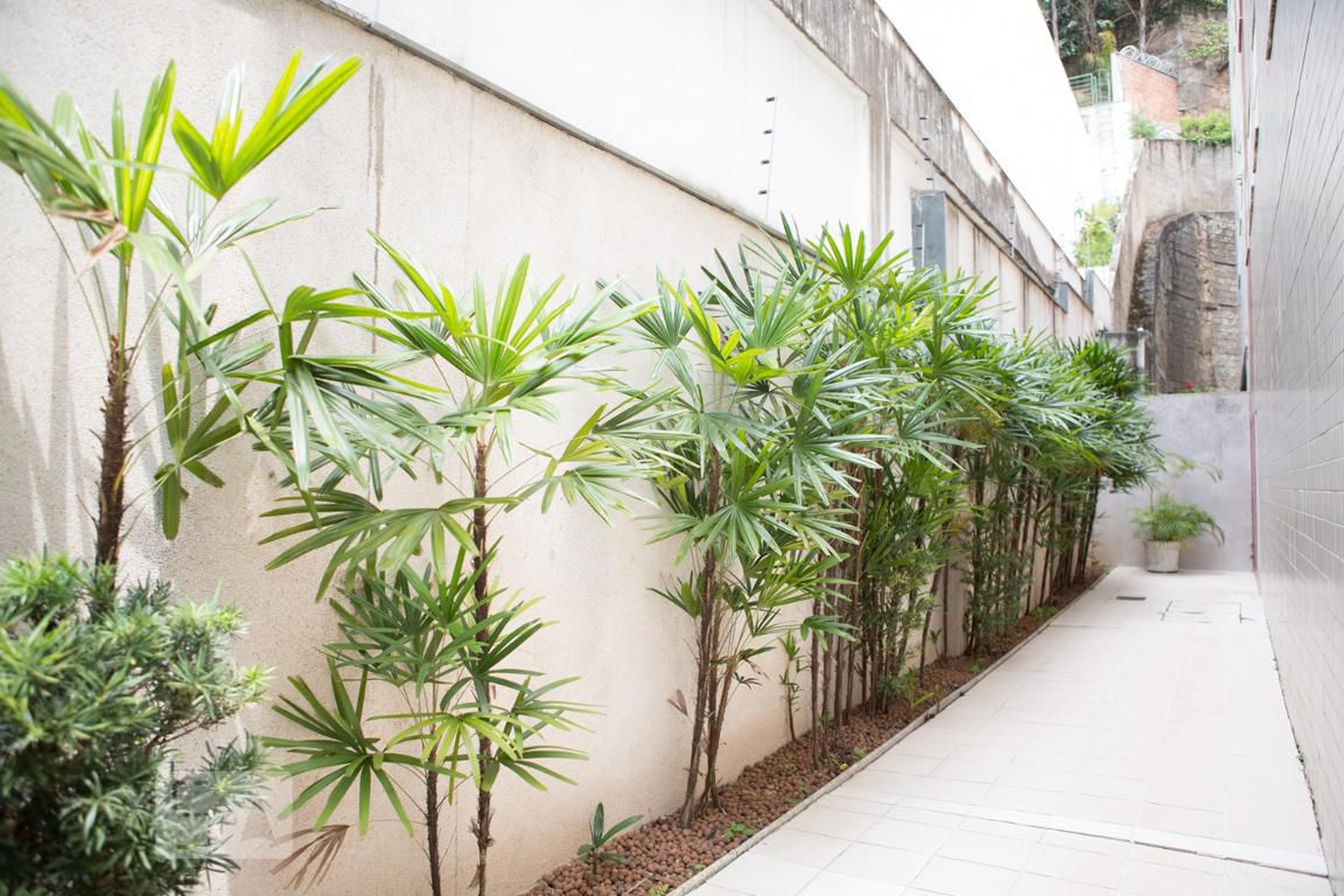 Área comum - Edifício Laplace