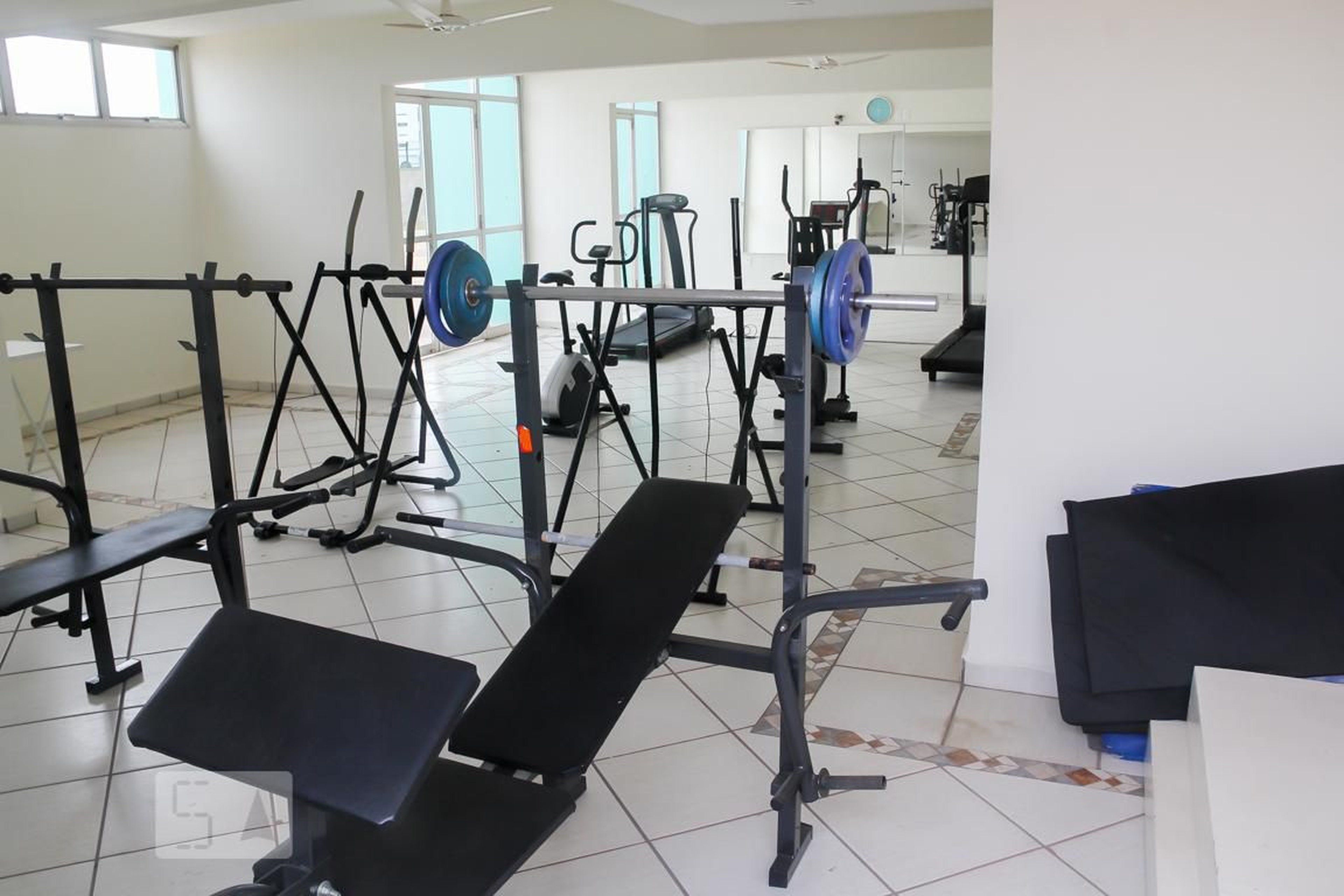 Academia - Delfim Verde