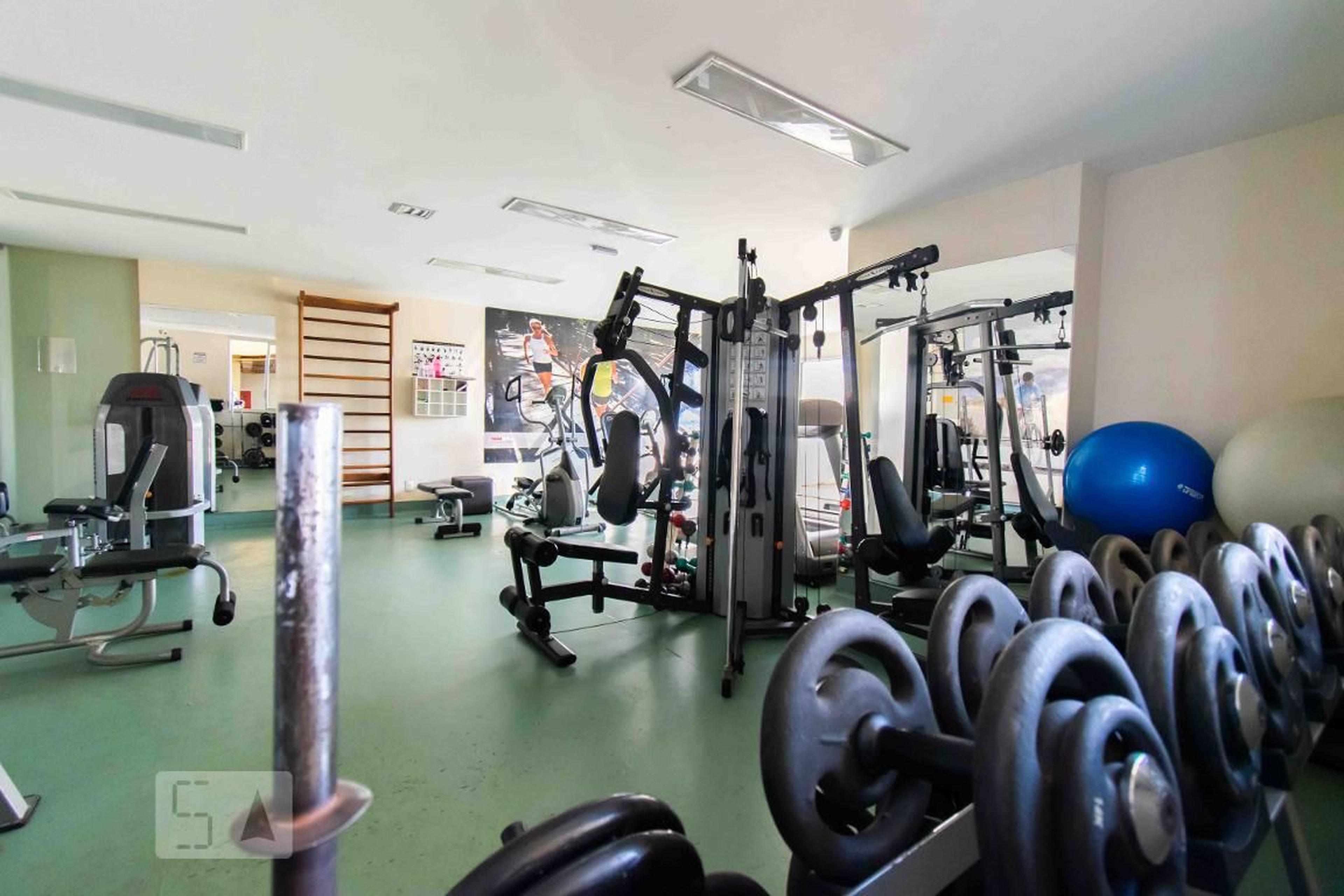 Academia - Belvedere Altares