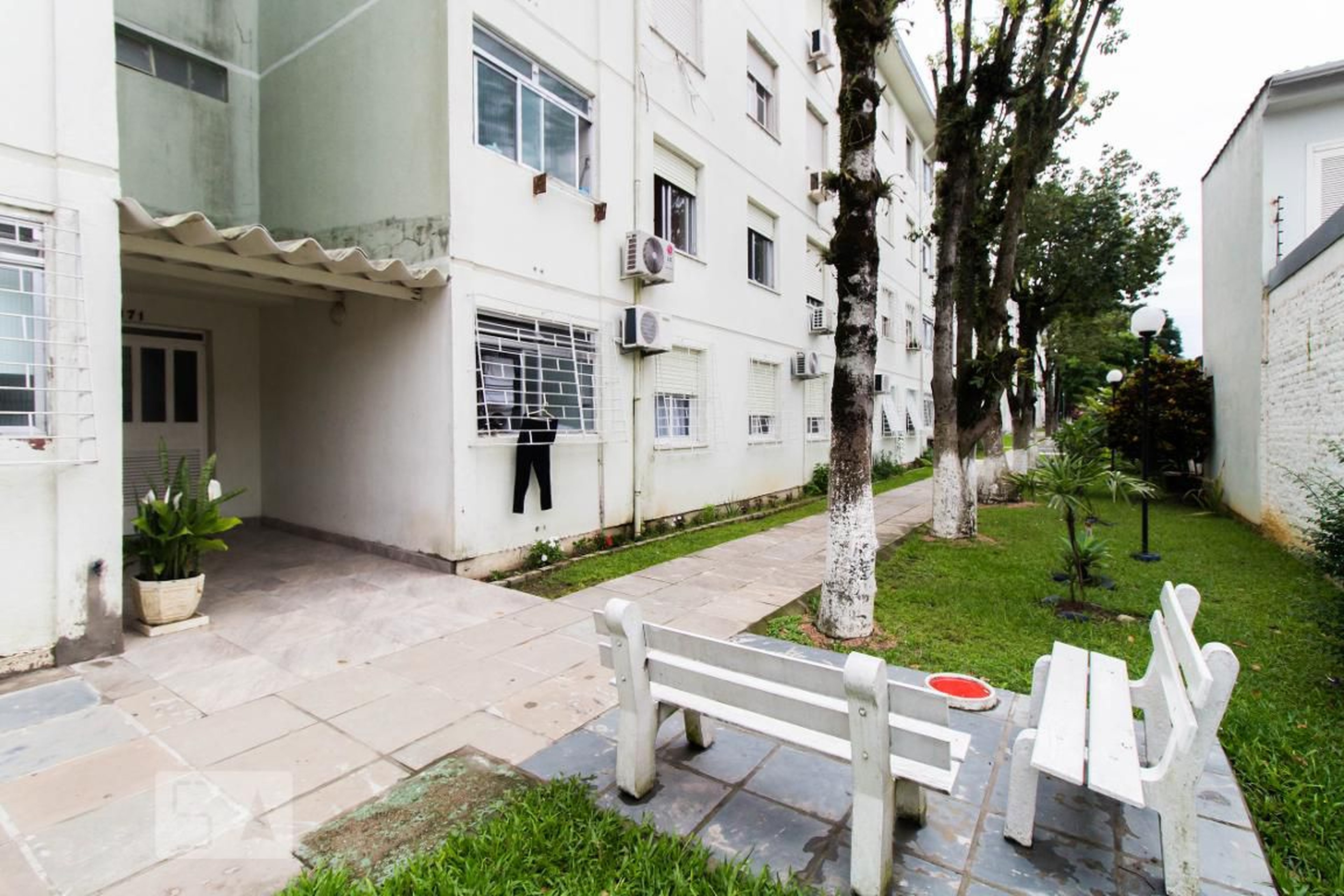 Área Externa - Paineiras