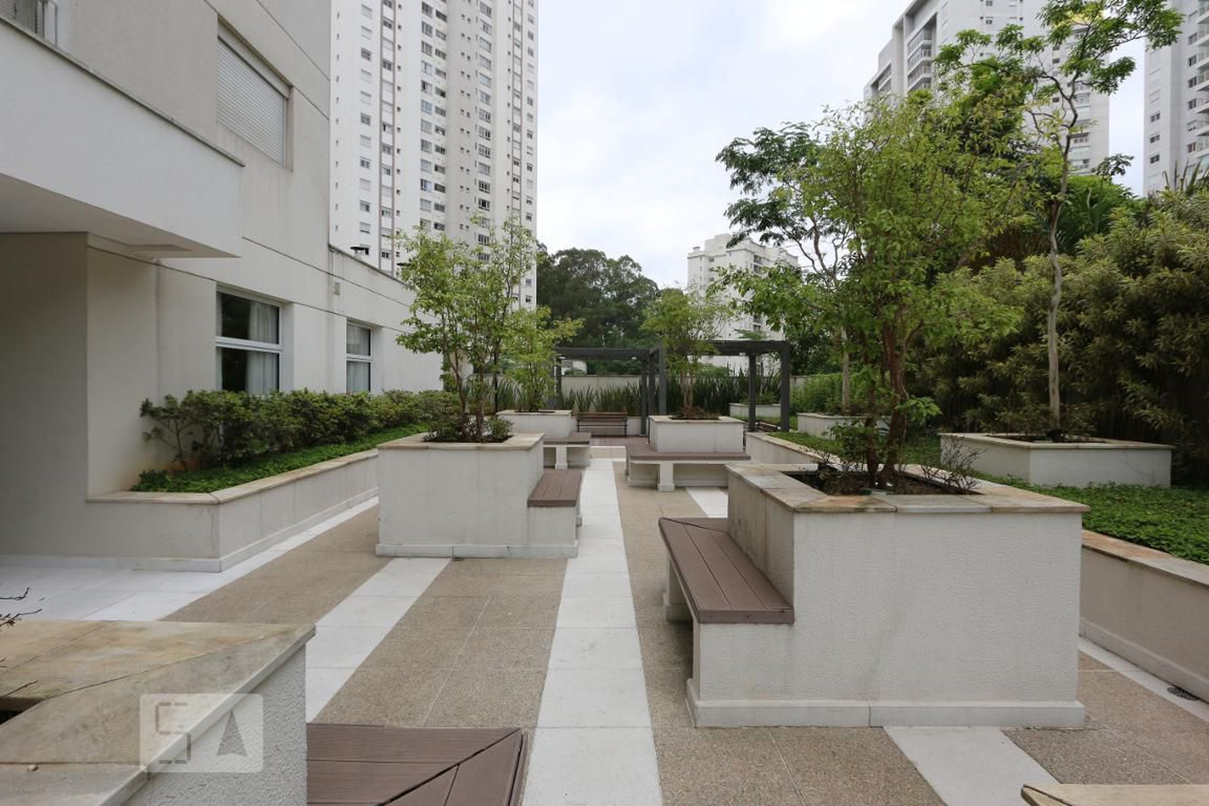 area externa - Chardonnay