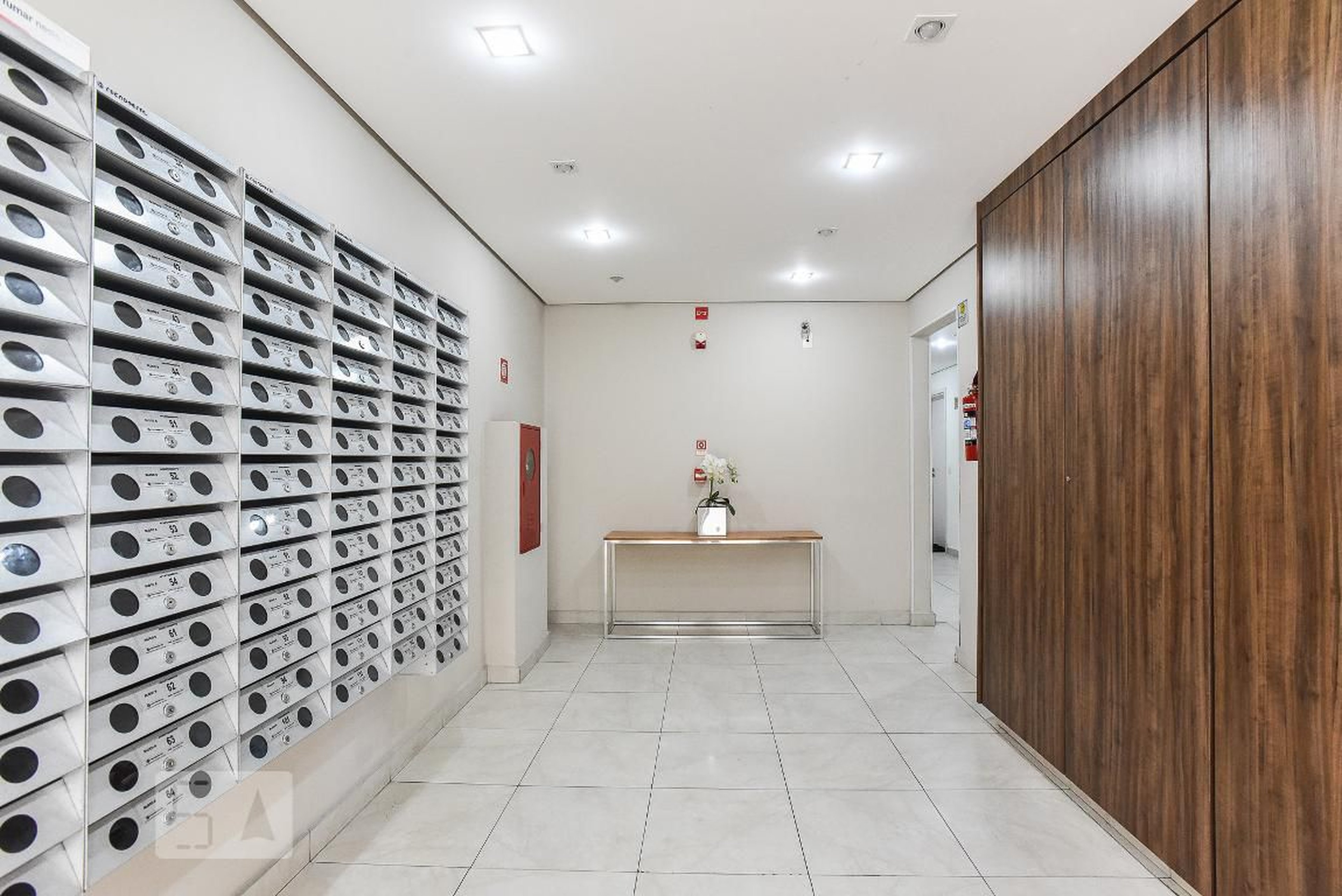 Hall - Flex Pauliceia