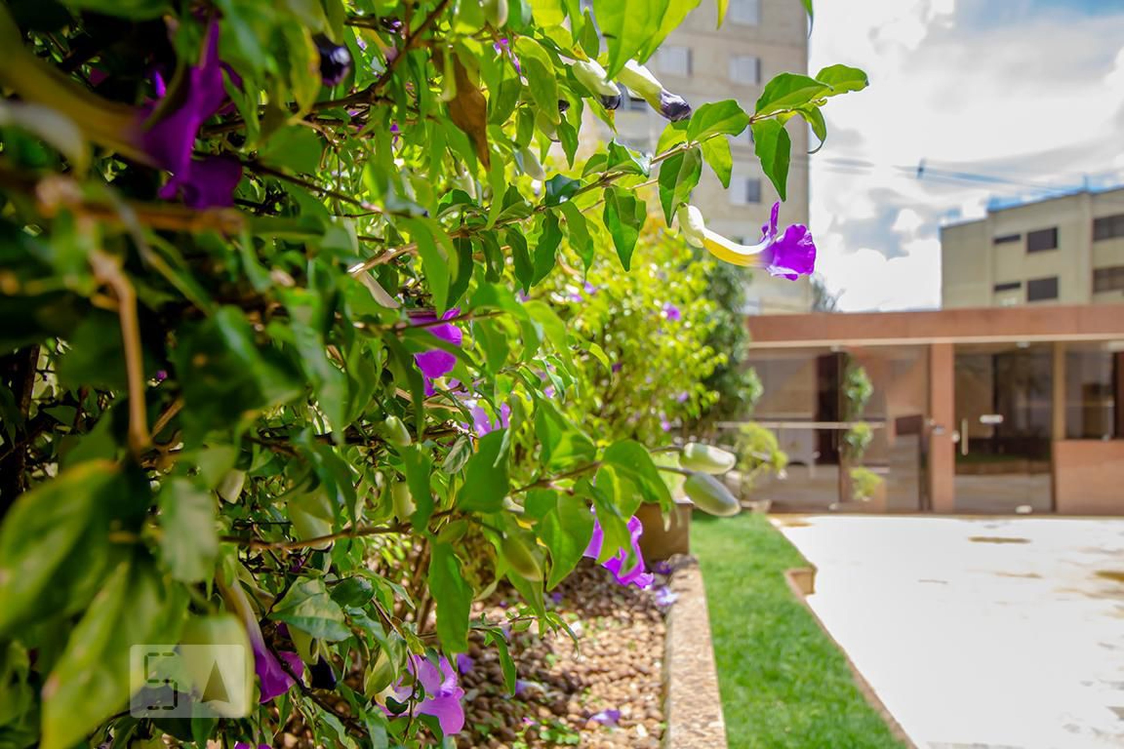 Área Externa - Monte Real