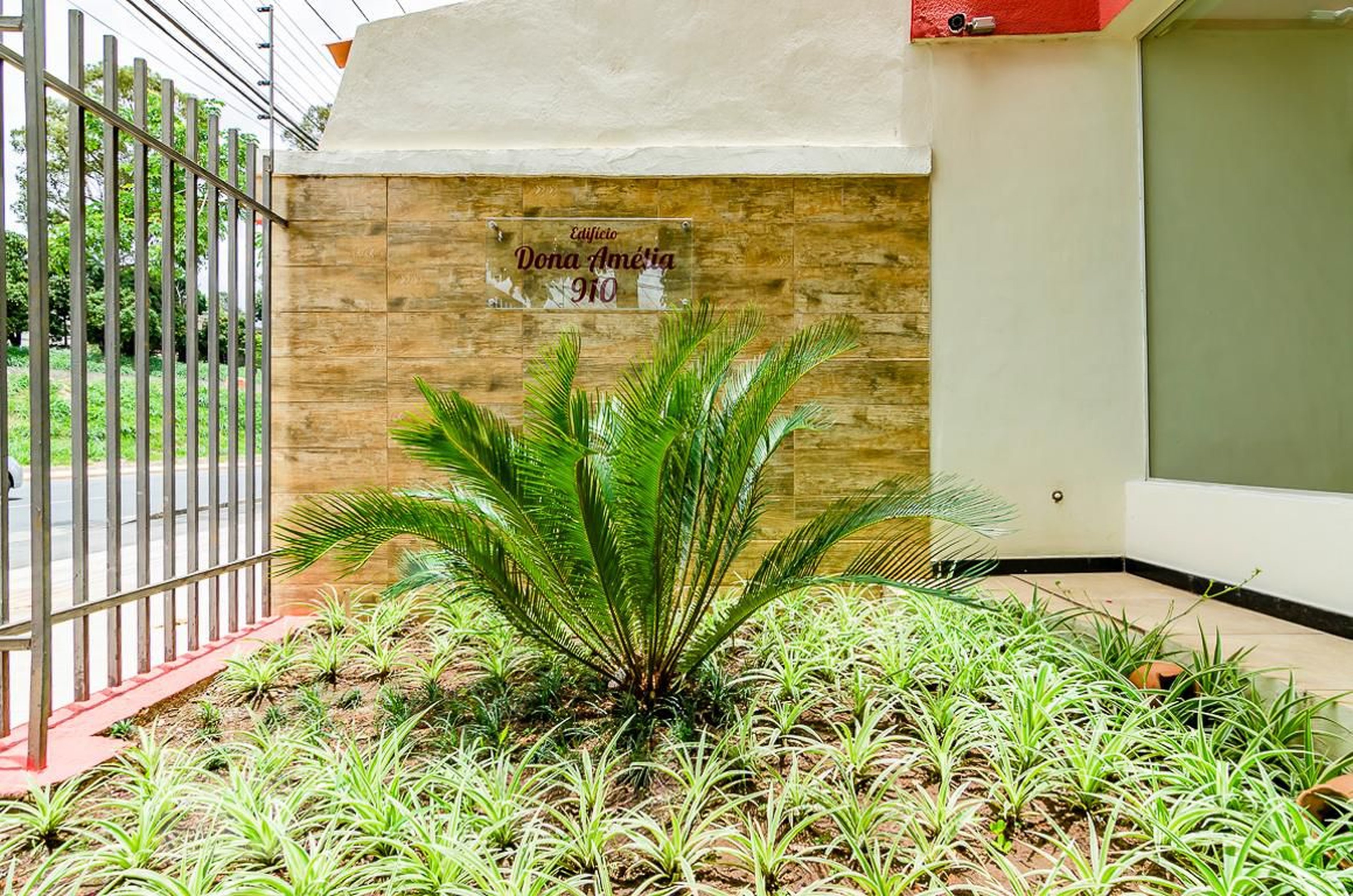 Entrada - Edifício Dona Amelia