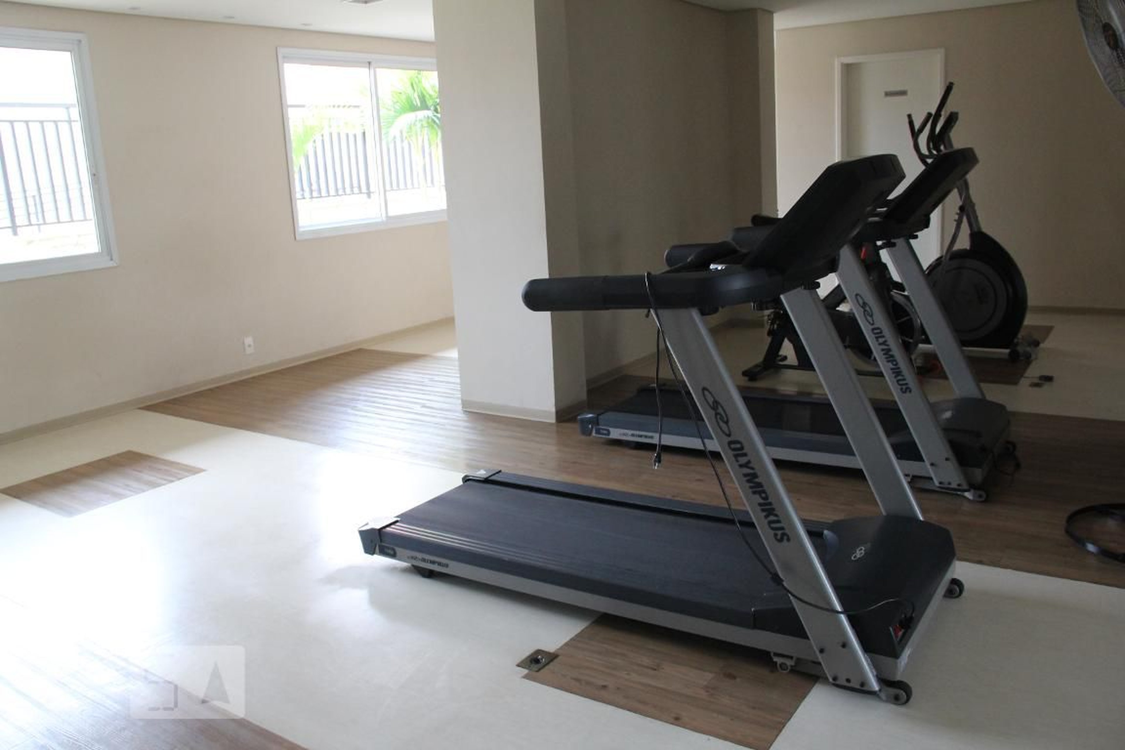 Academia - Esplendido