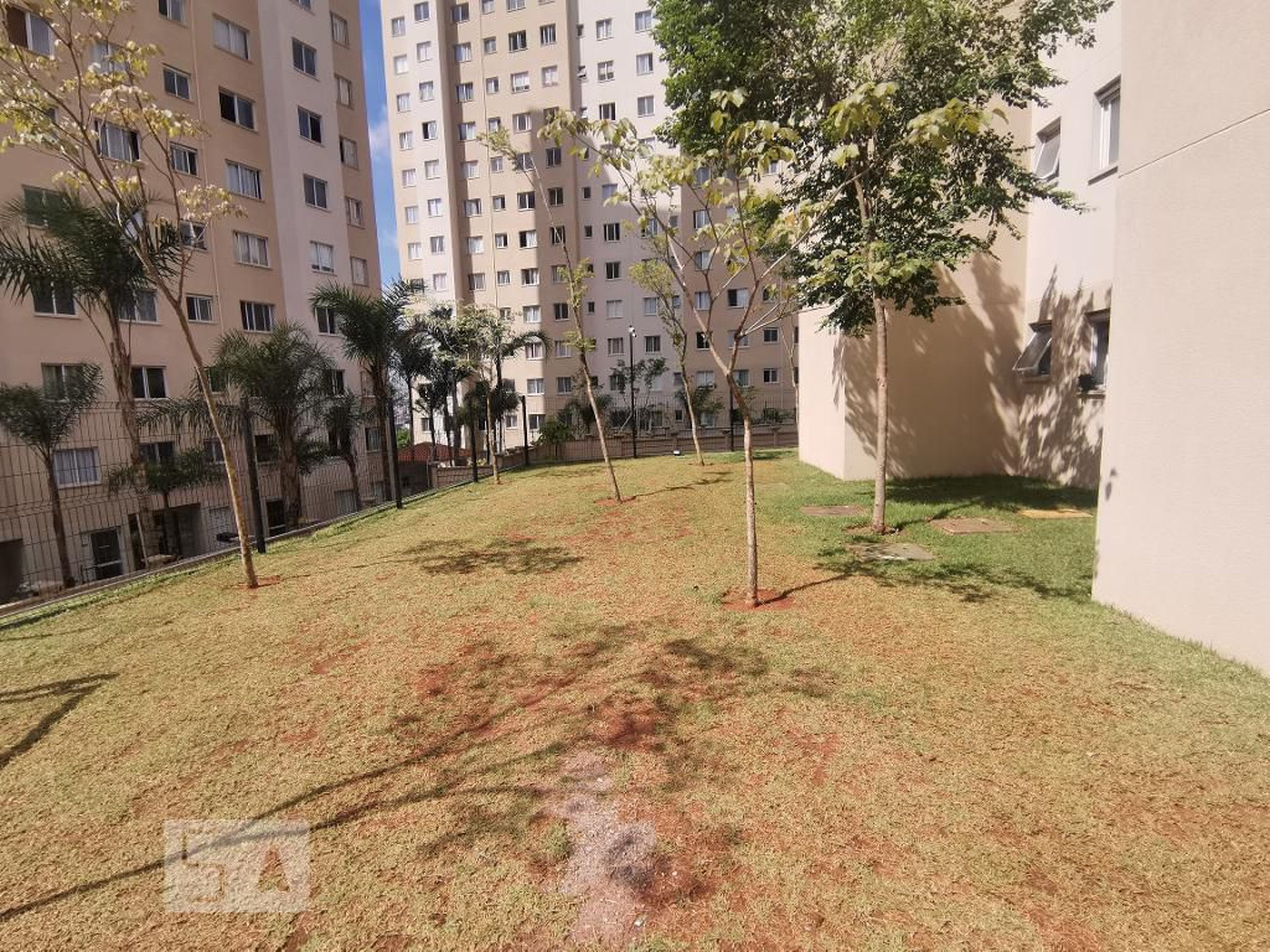 Espaço Pet - Plano Morumbi