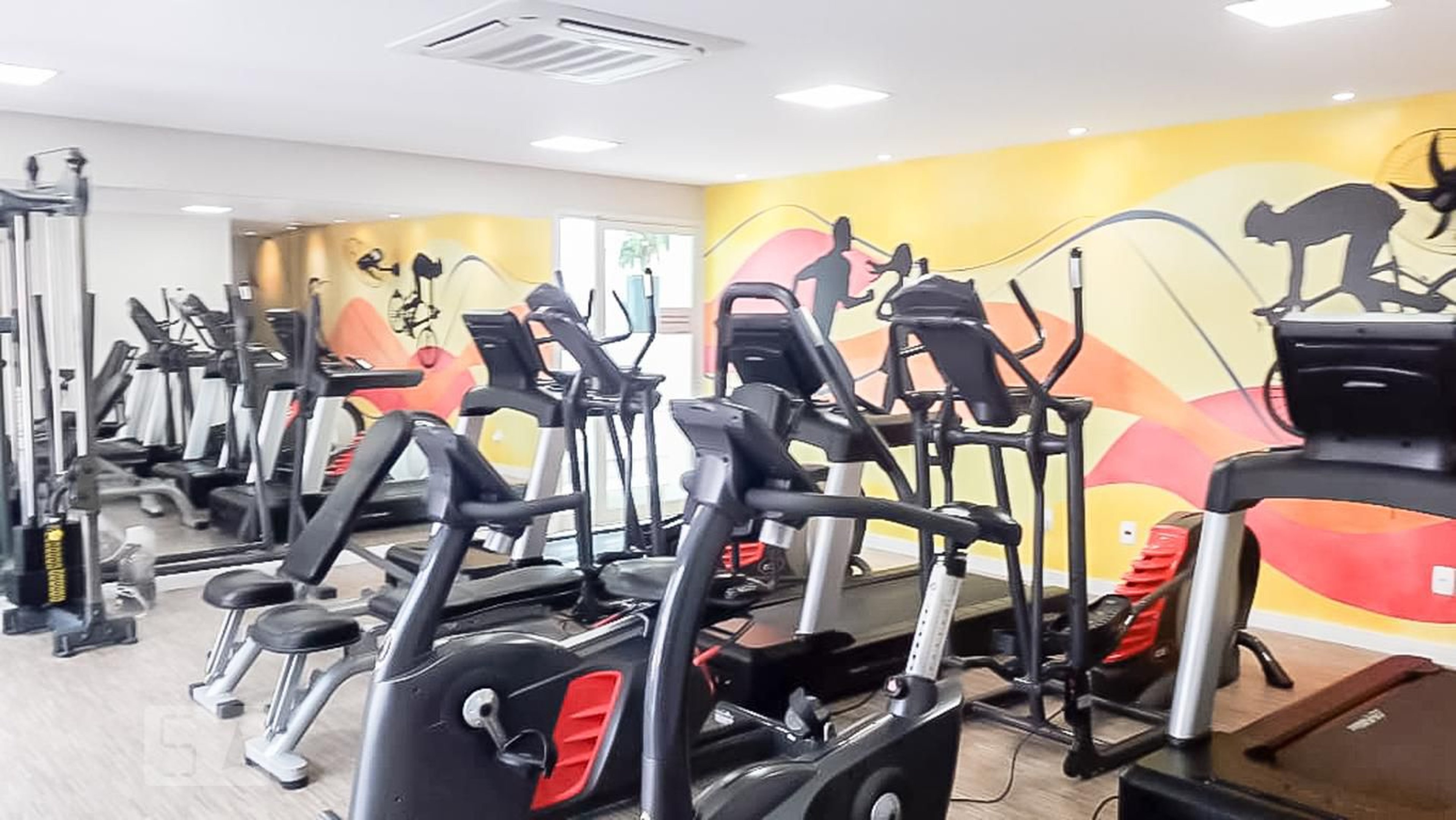 Academia - MontMartre