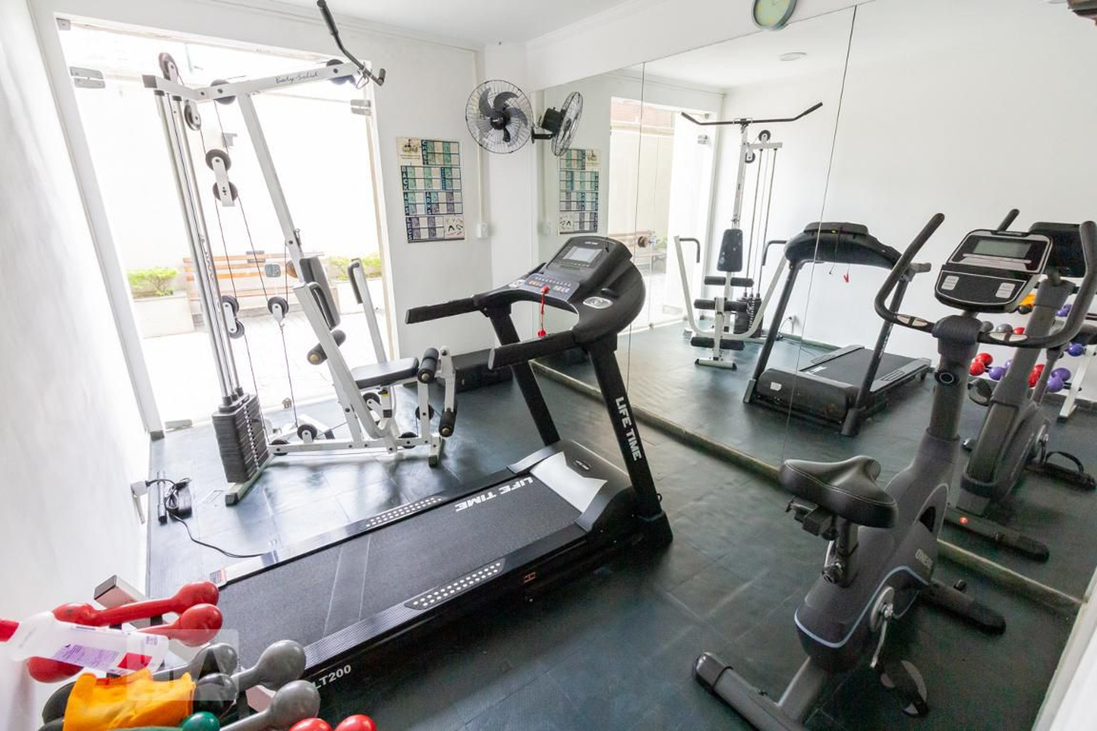 Academia - Flamboyant