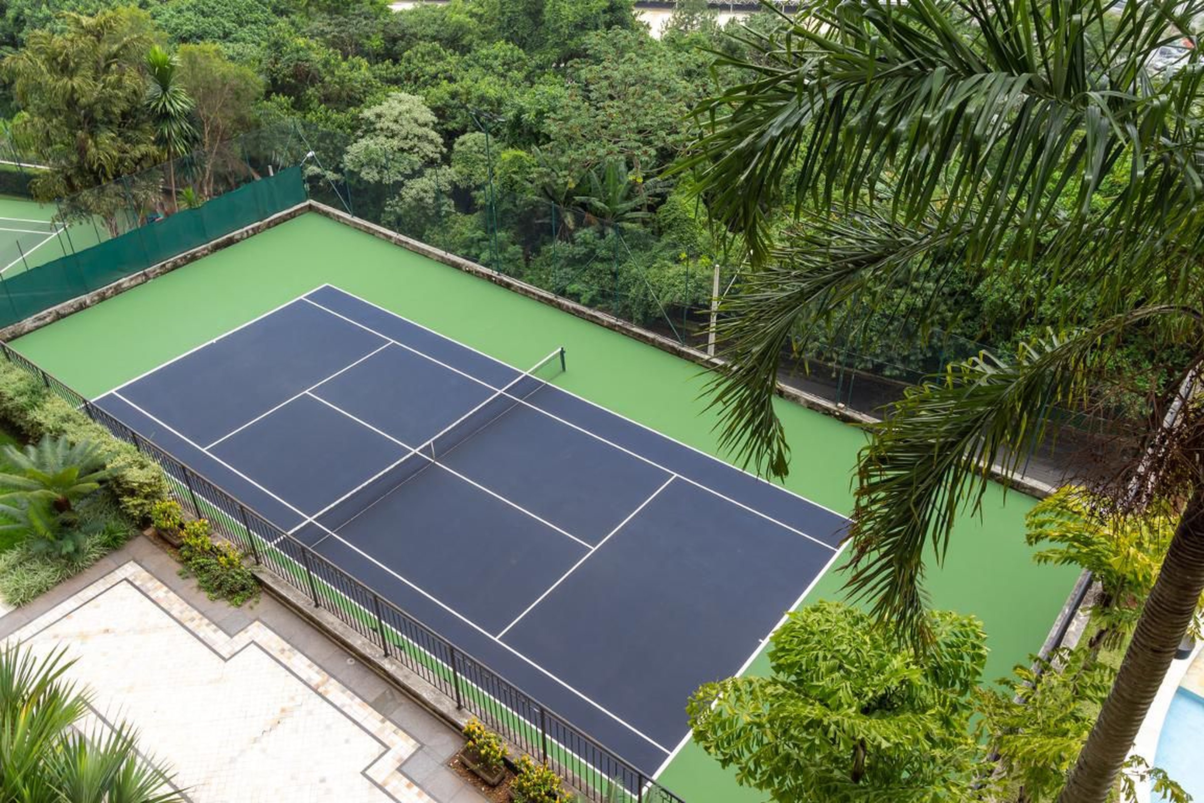 Quadra - Tons Tangara