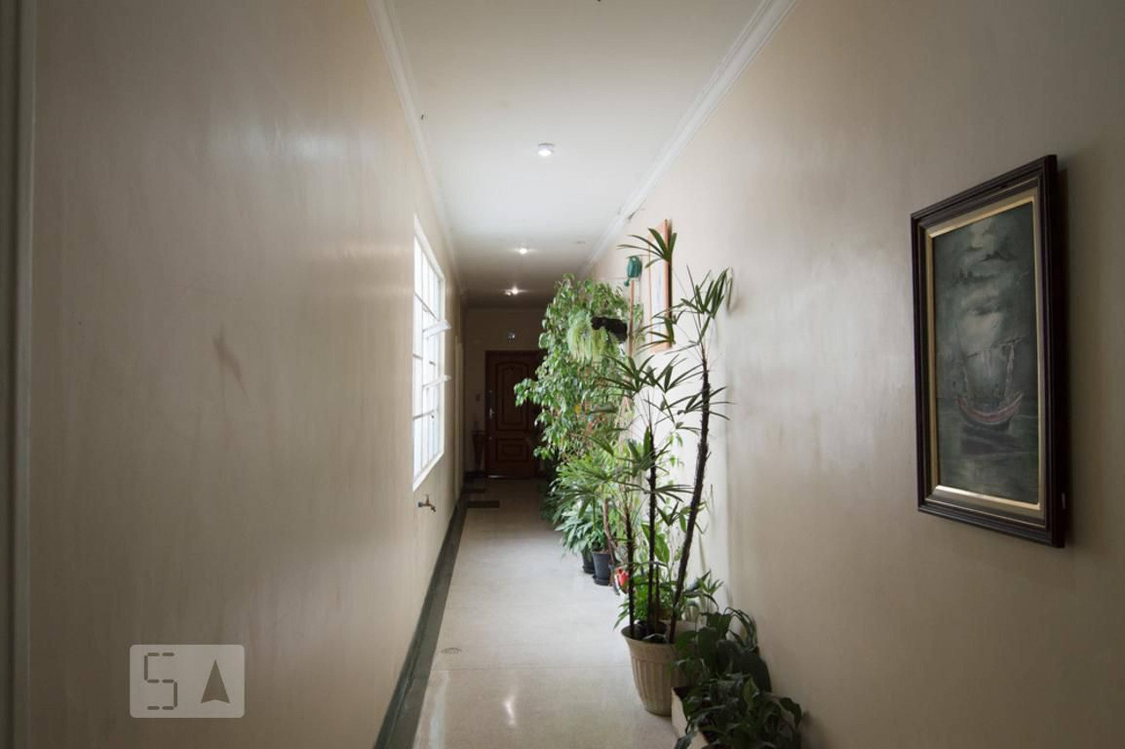 Hall de Entrada - João Passalaqua