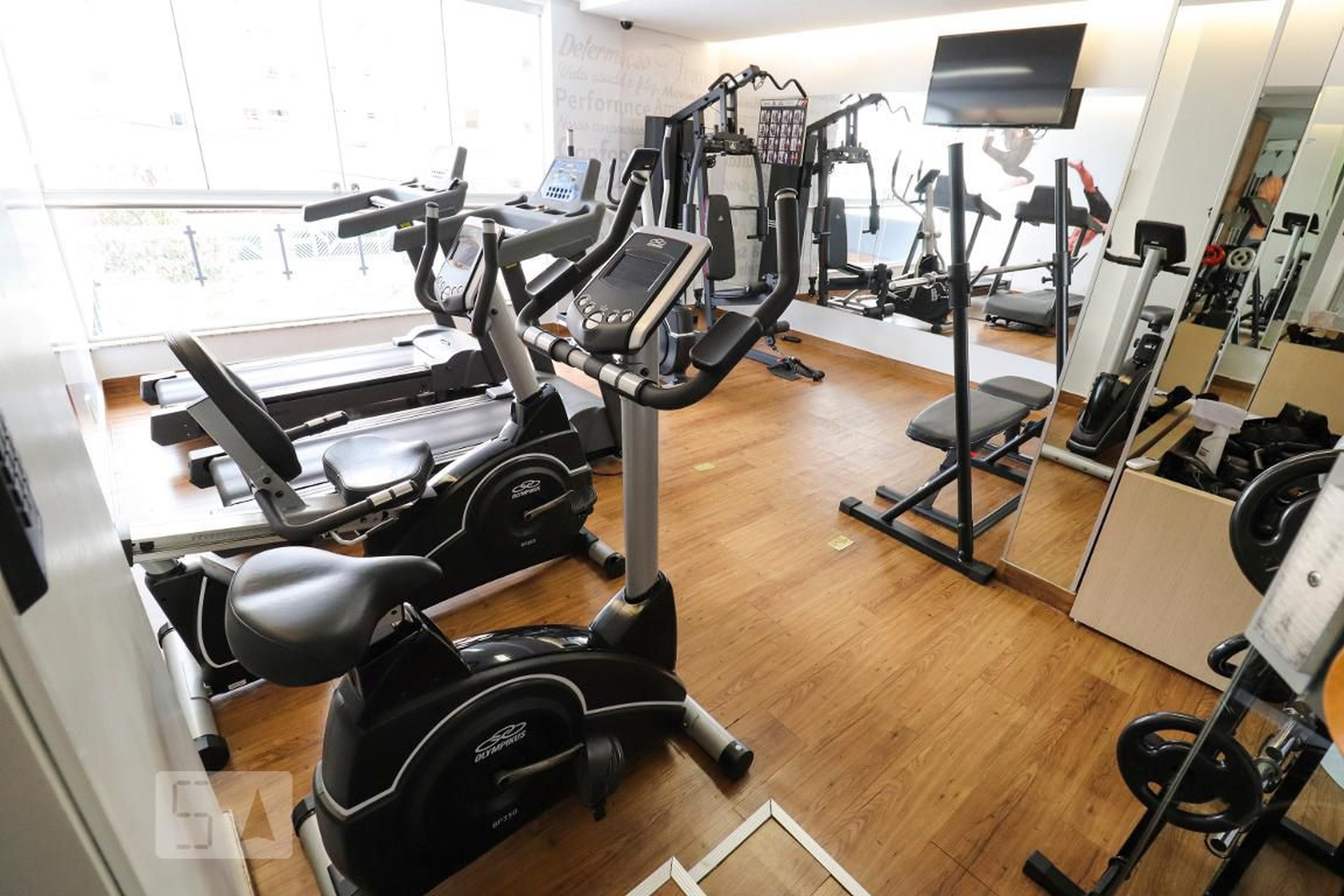 Academia - Alta Vista