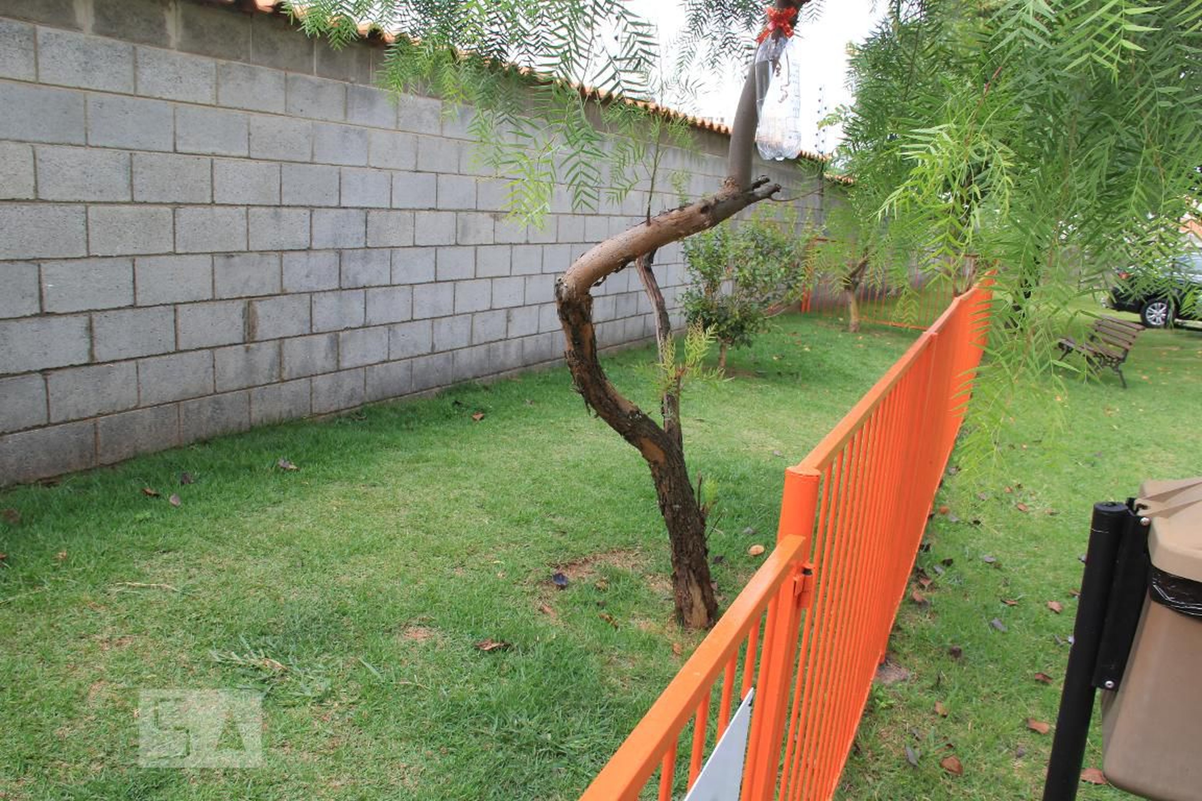 Espaço Pet - Ilha das Flores