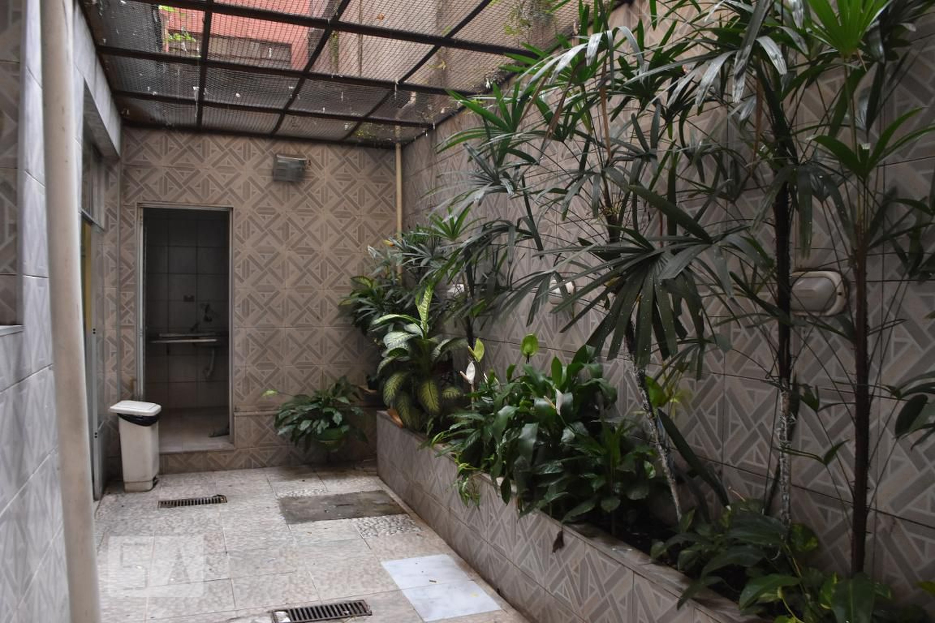 Area Externa - Libano