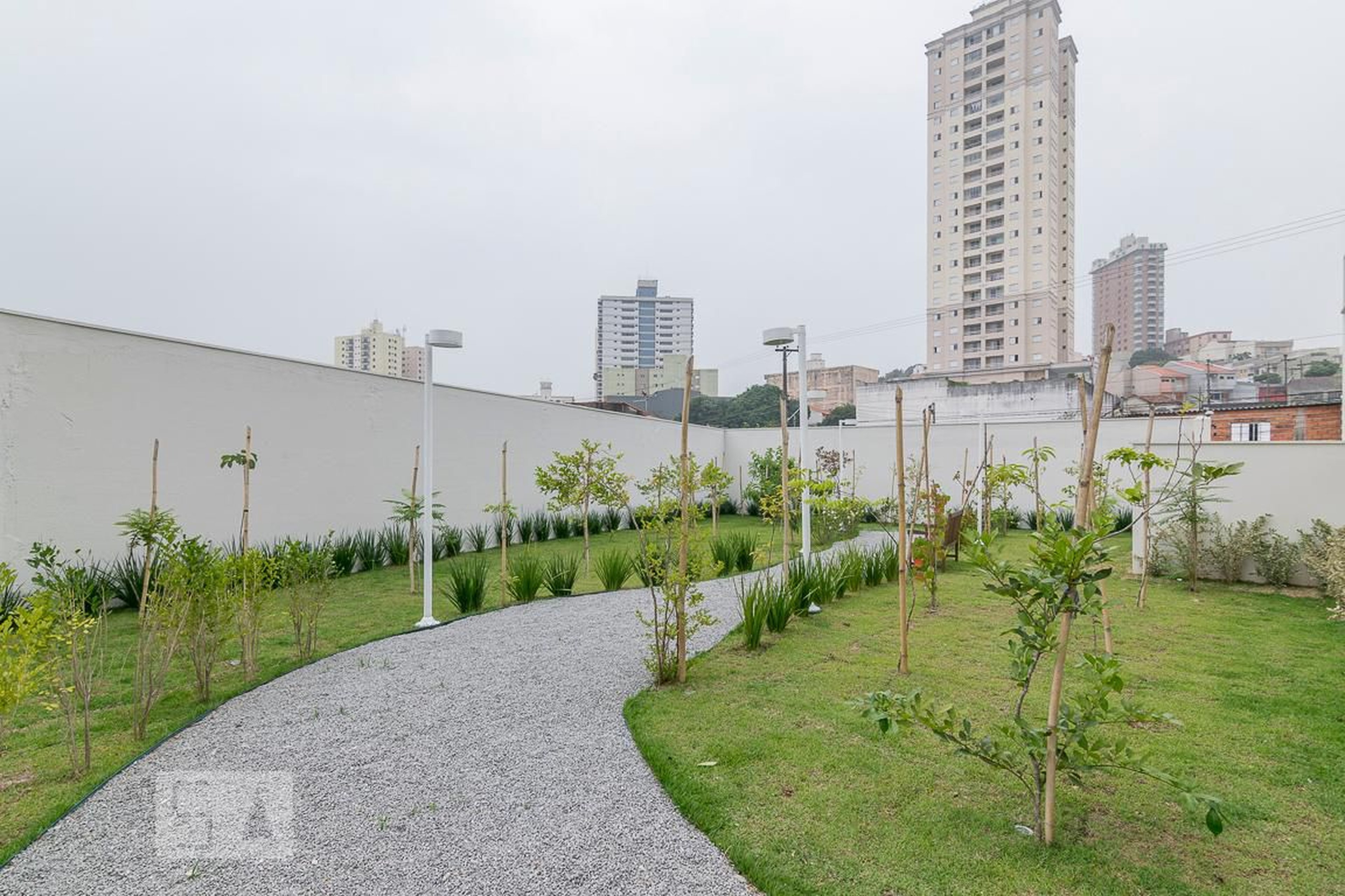 Espaço Pet - Sonata