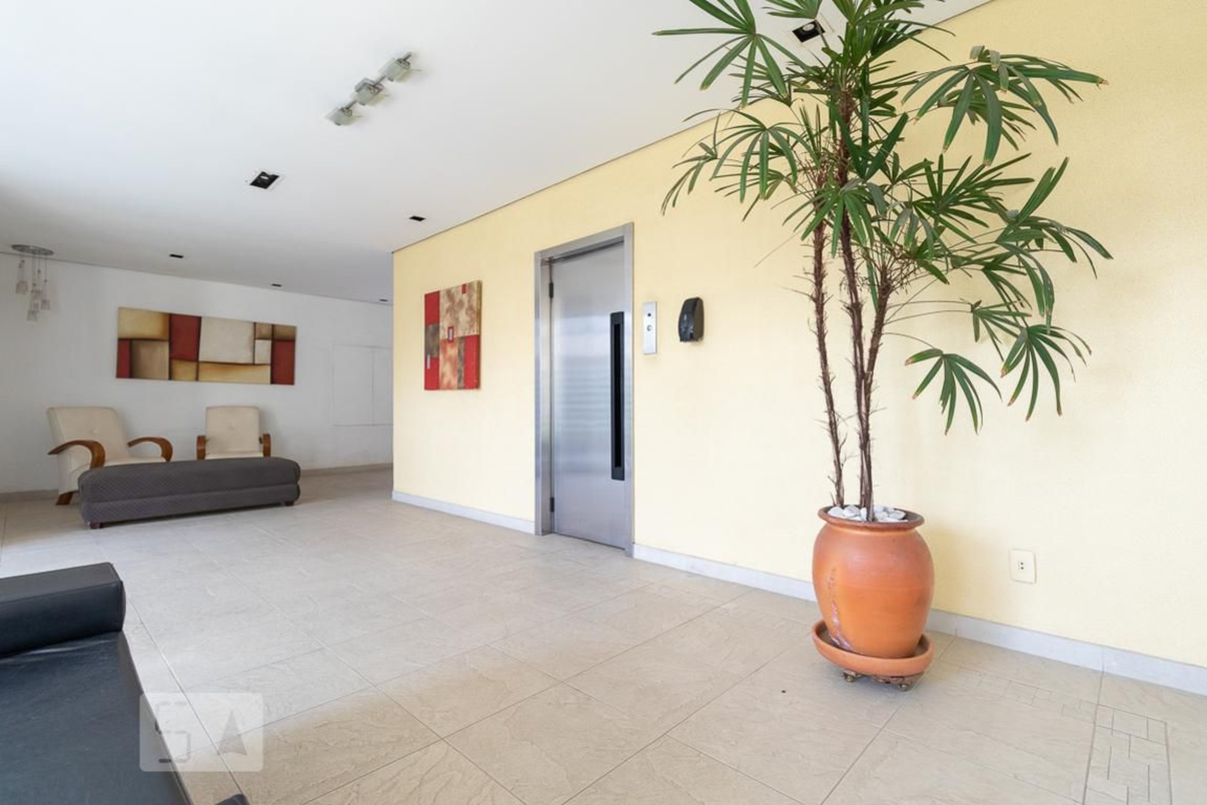 Hall social - Primavera