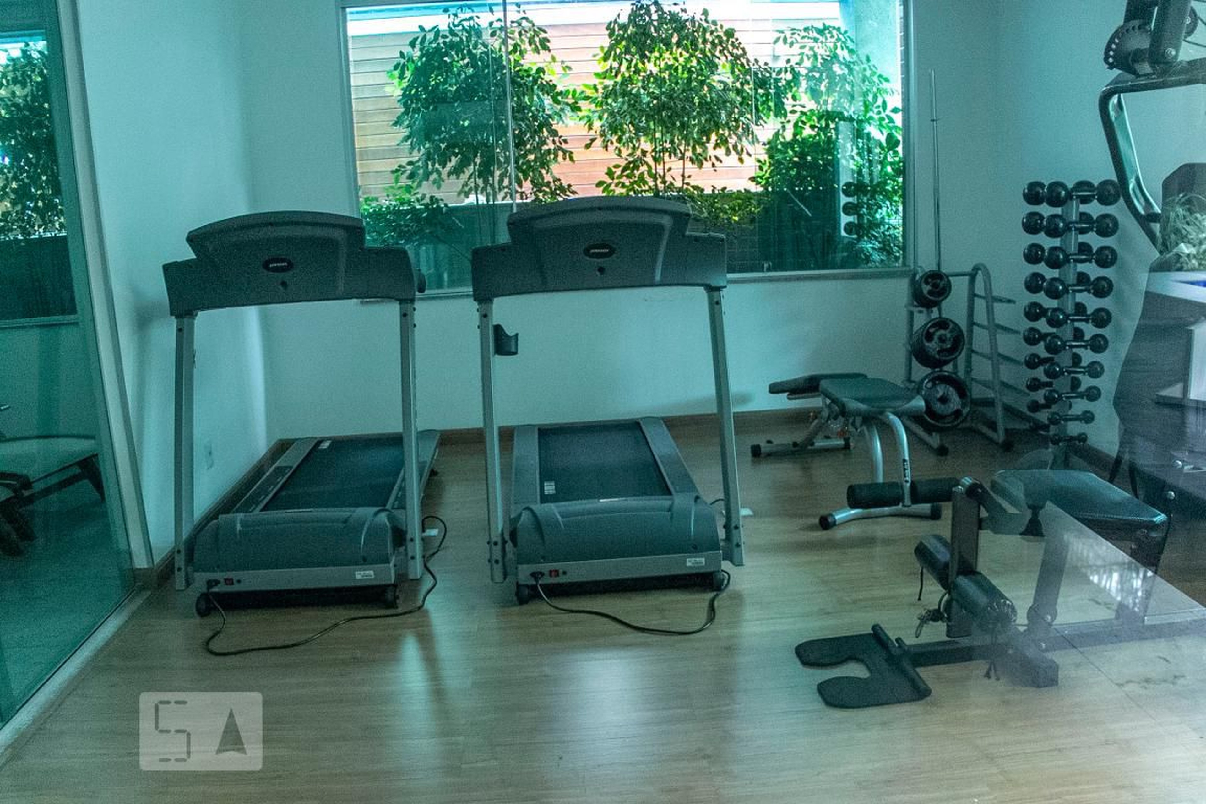 Academia - Ed Carlito Filizzola