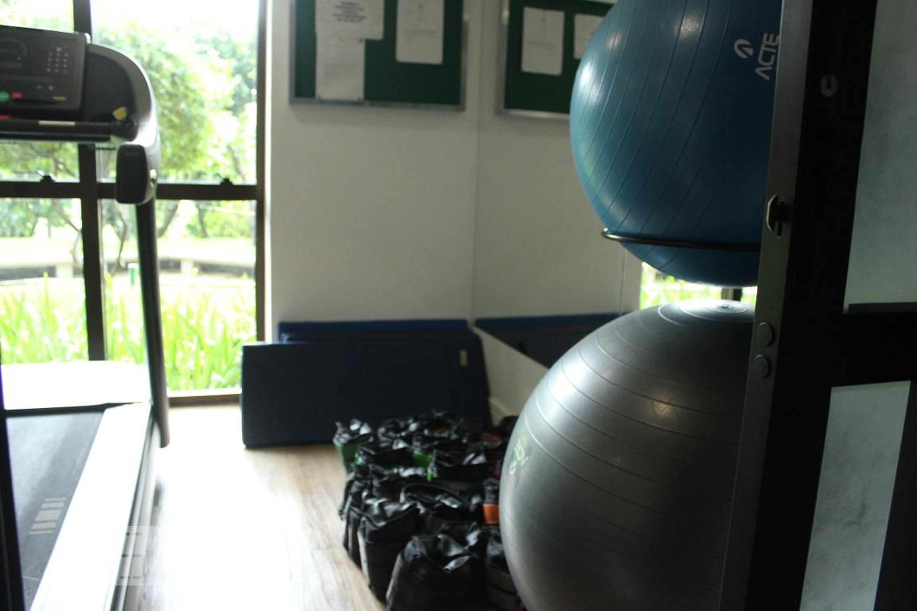 Academia - Golden Green