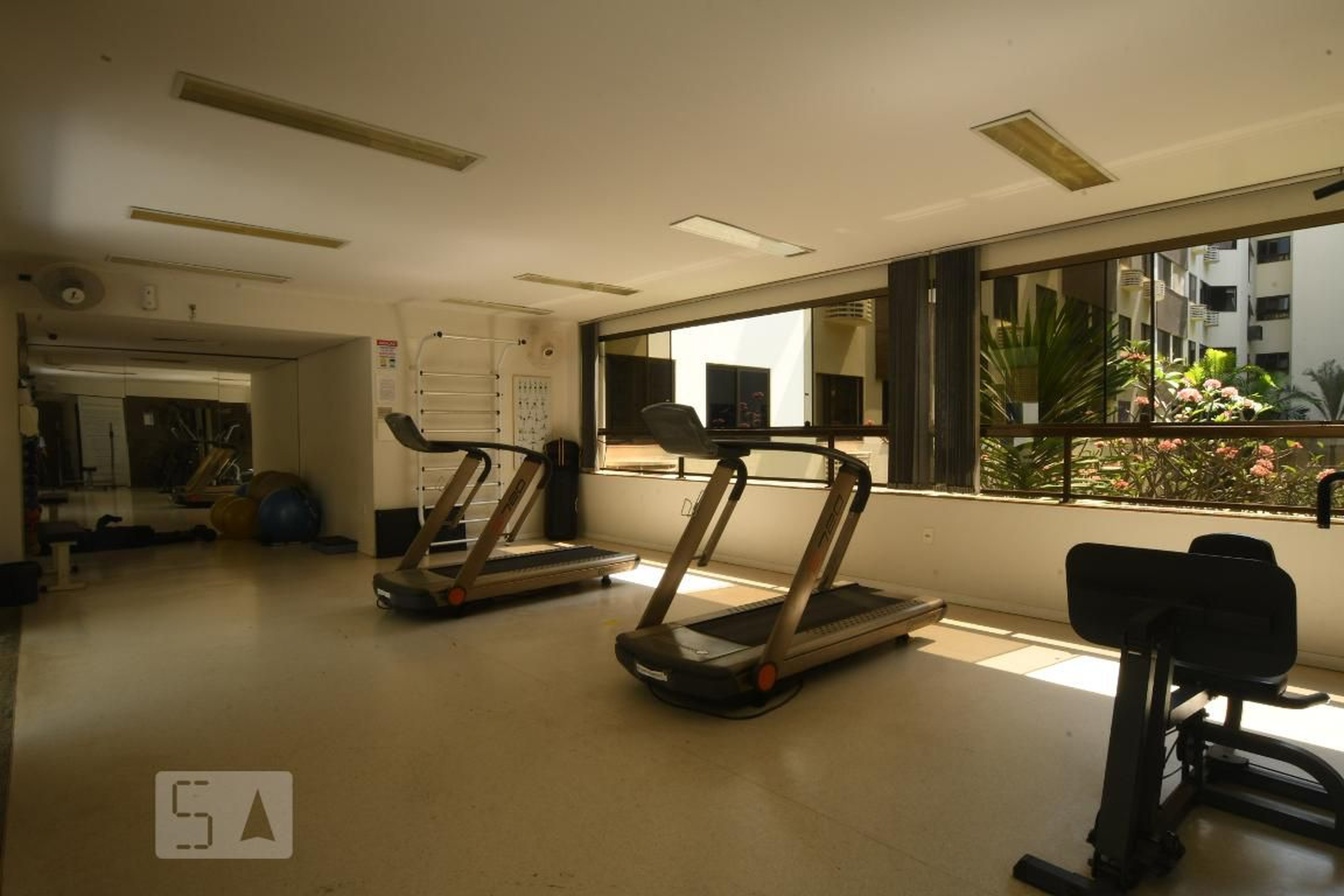 Academia - Linea Studio