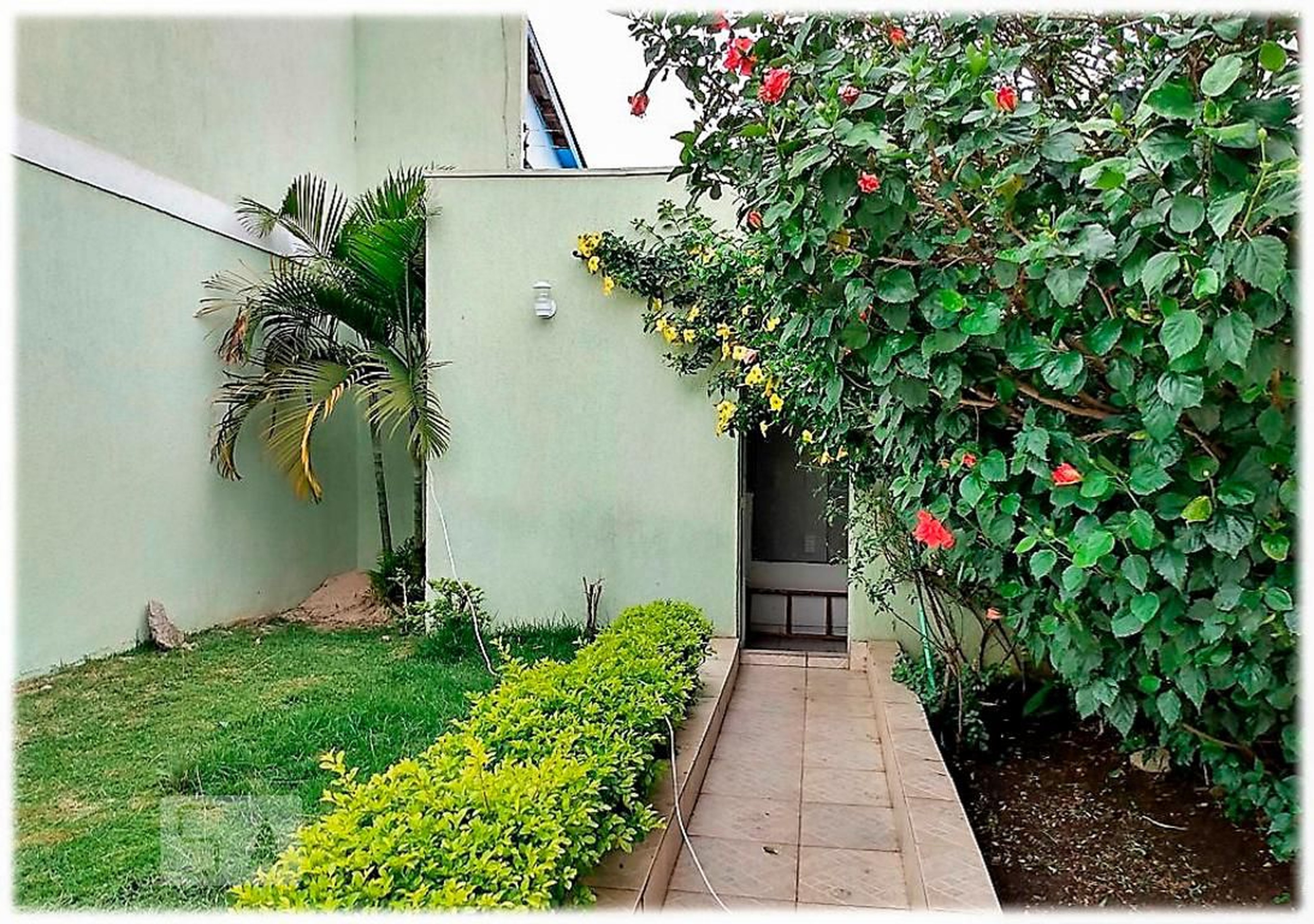 Área Externa - Holly