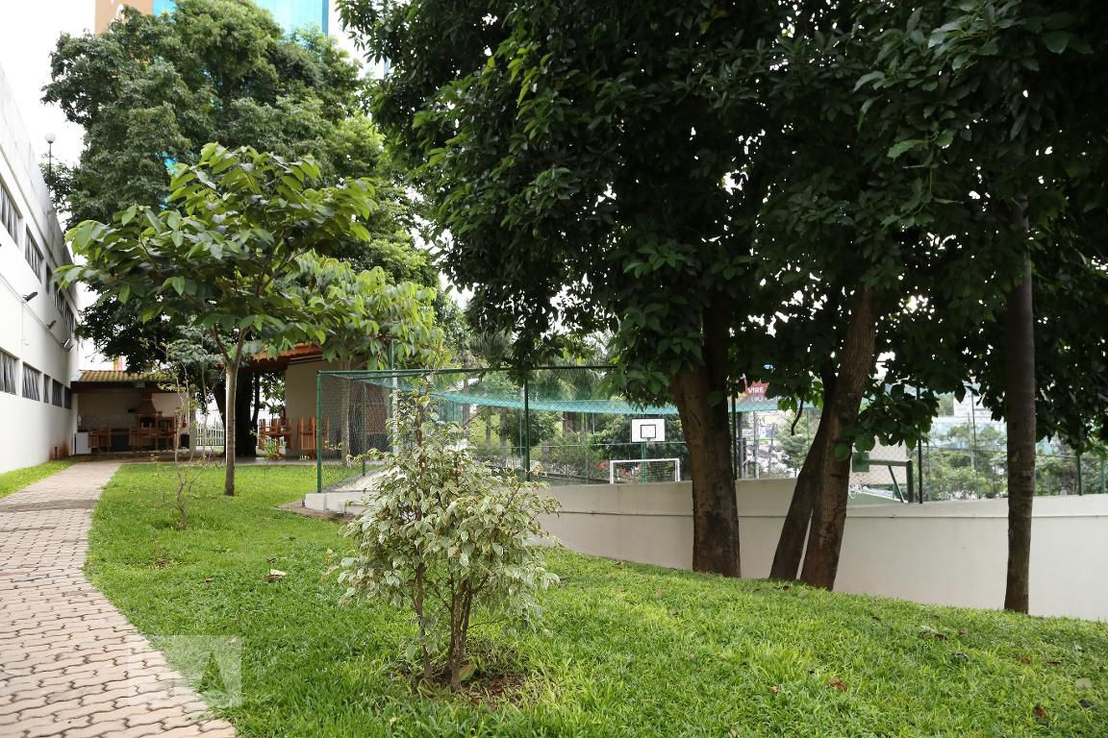 Área Externa - Pitangueira 1