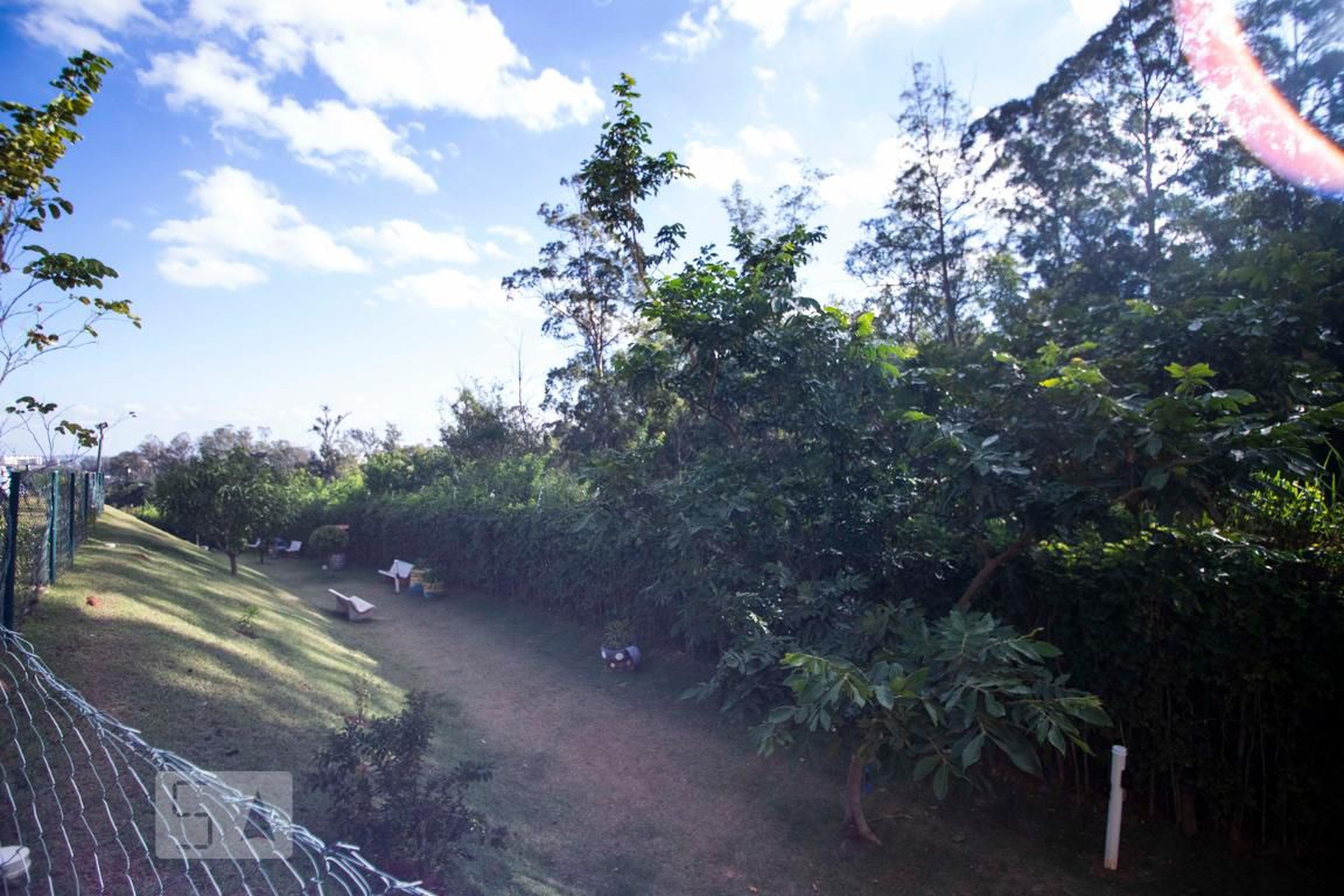 espaco pet - Puiatti Gestão