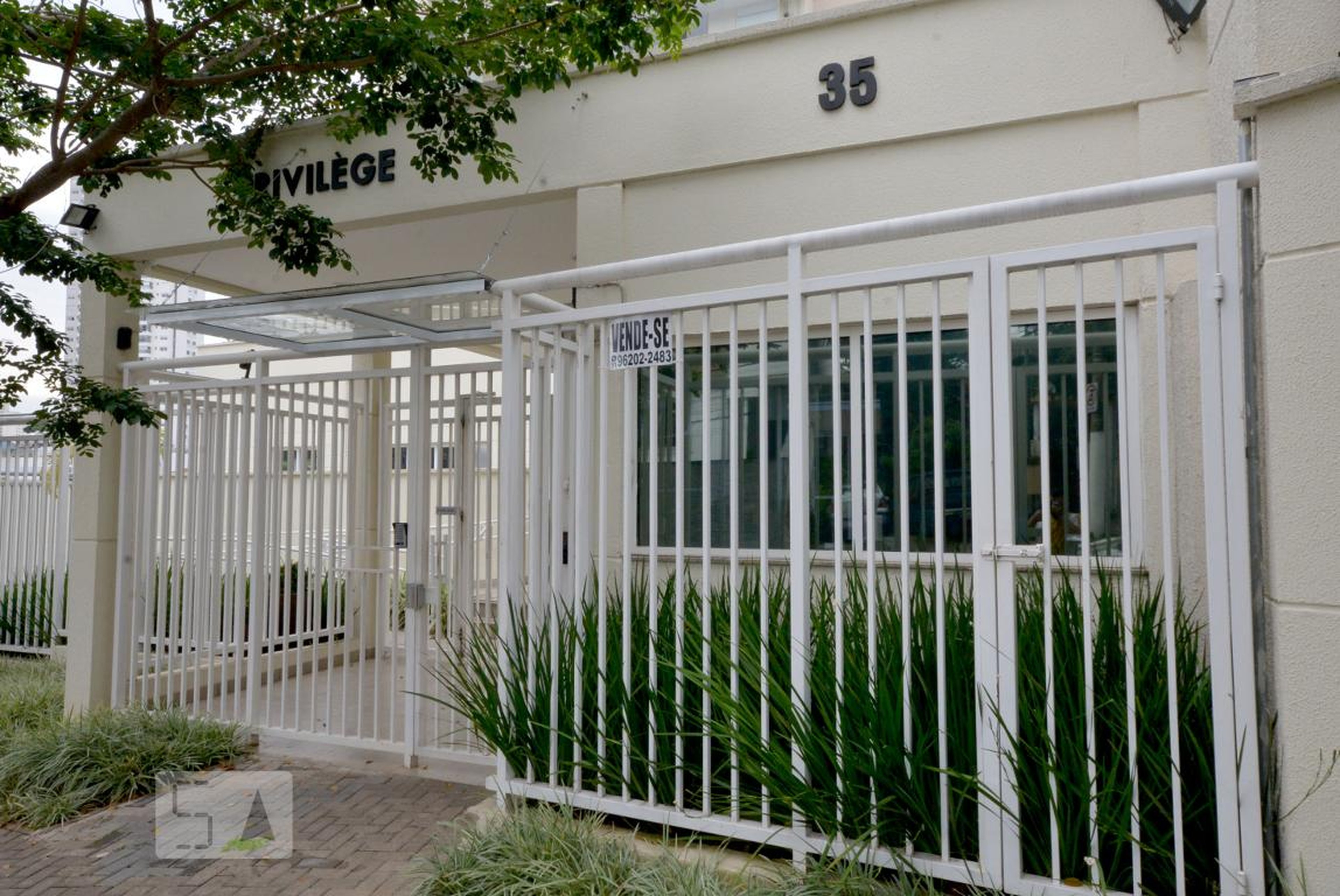 Entrada - Privilége Parque da Aclimação