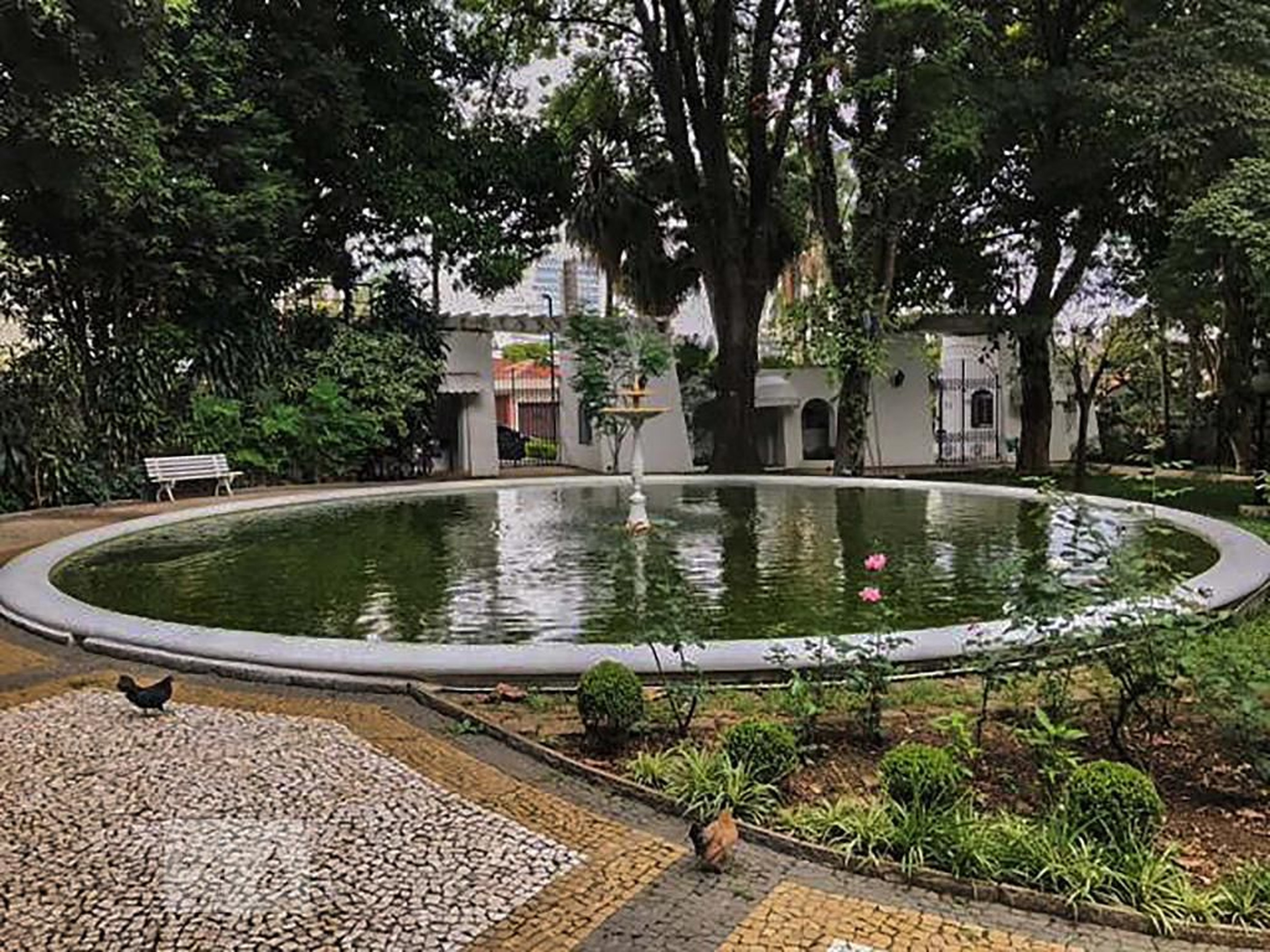 Condomínio - Parque dos Cisnes