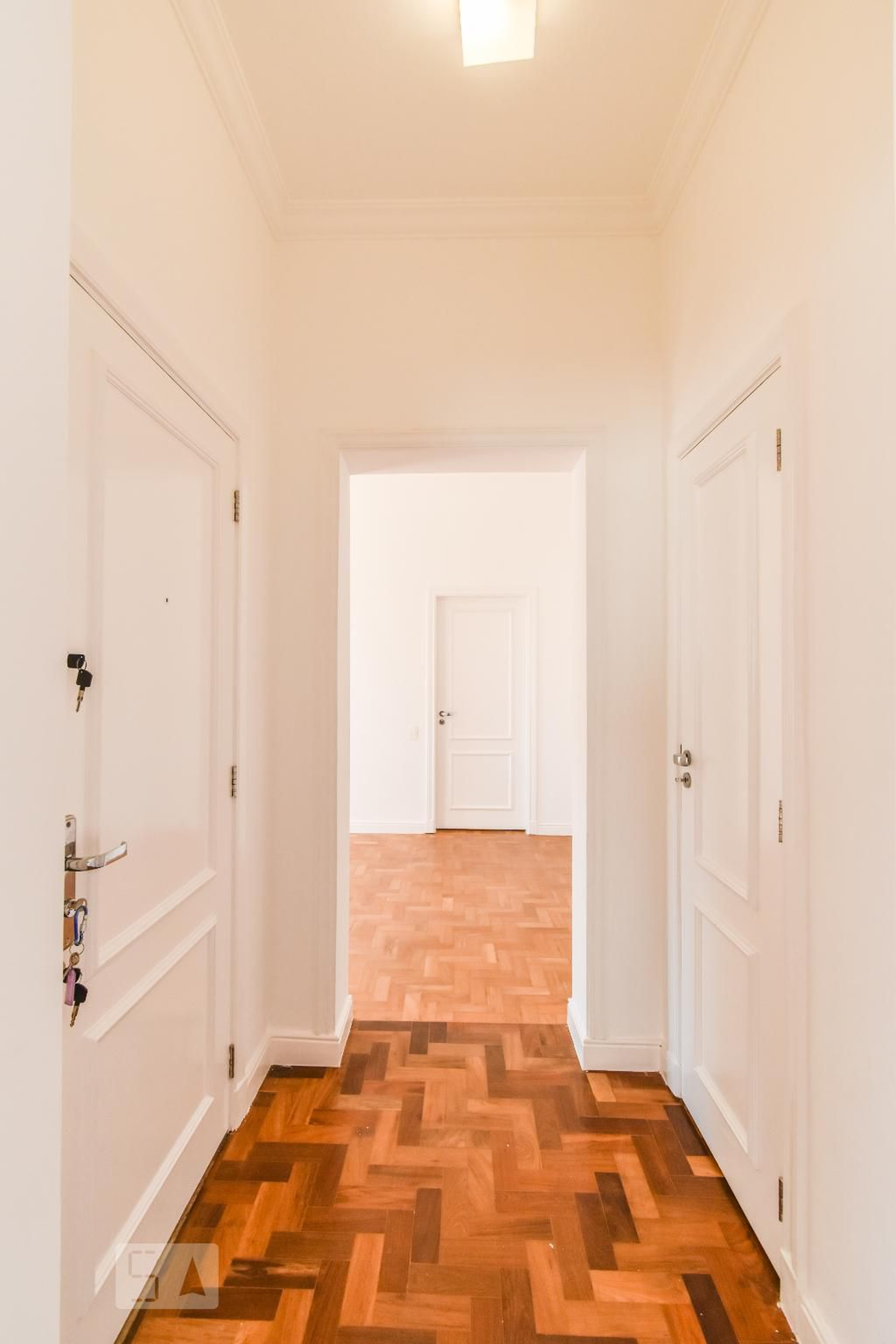 Hall Entrada - Barão de Pinto Lima