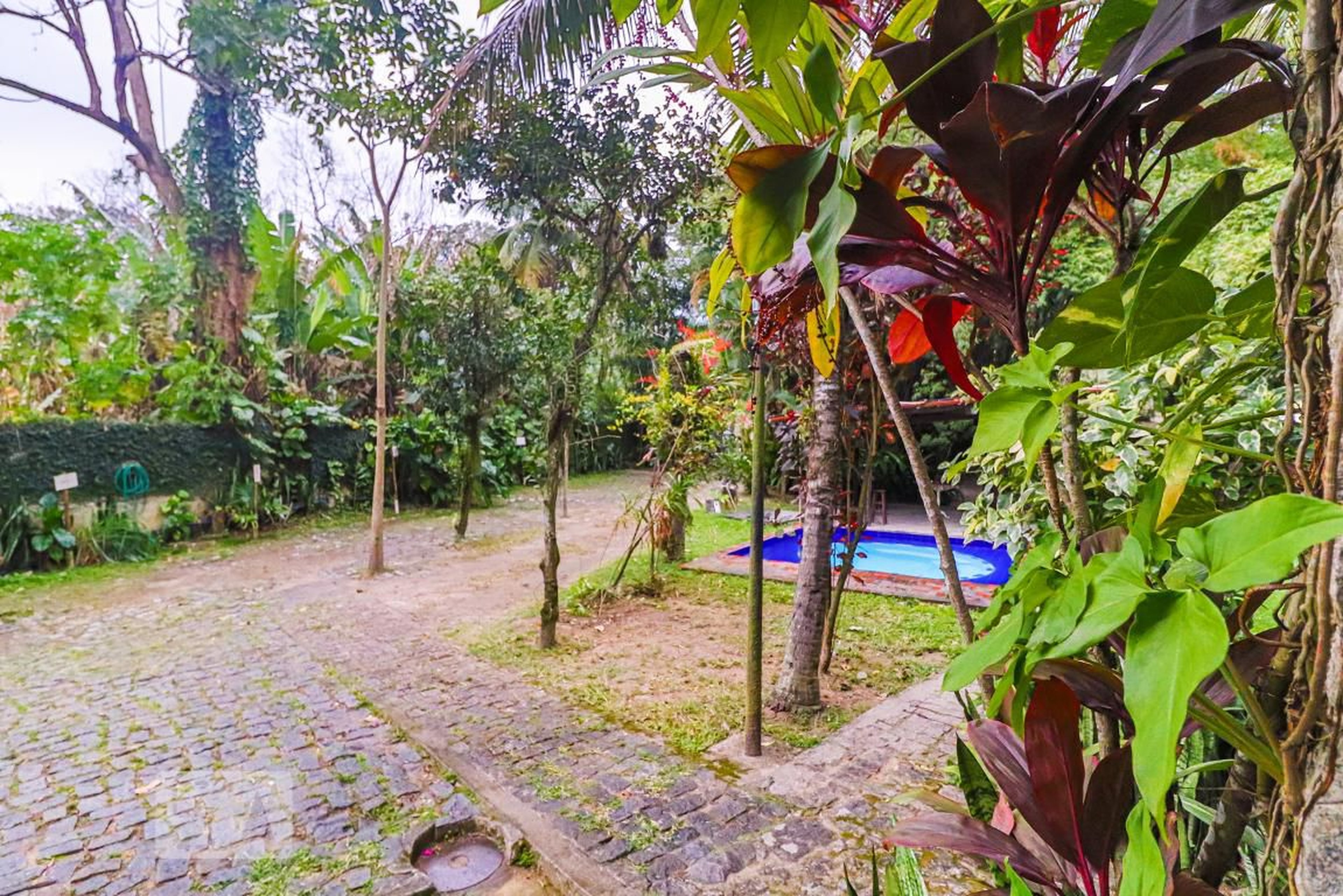 Entrada - Rio Natureza