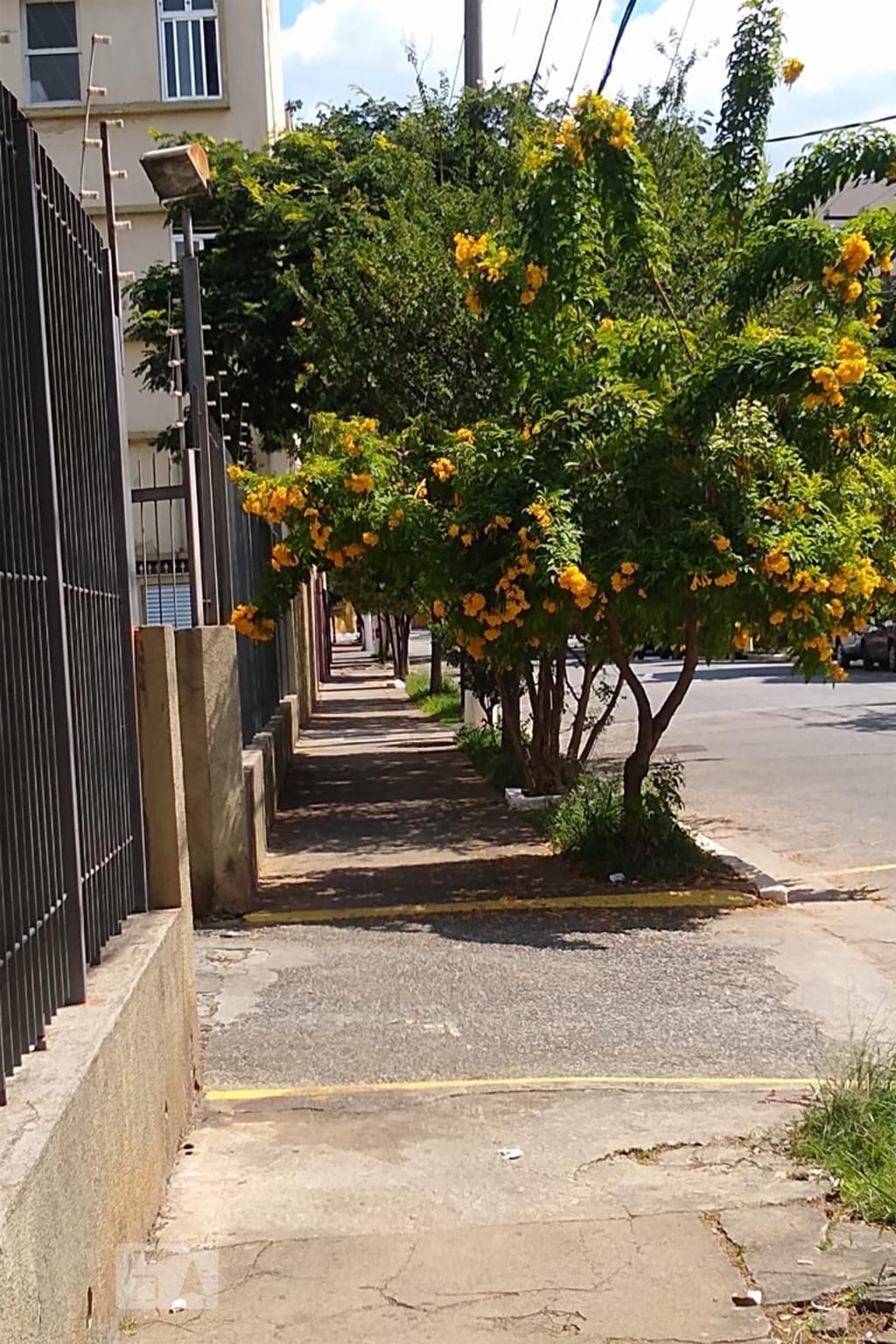 Entrada - Conjunto Iapi