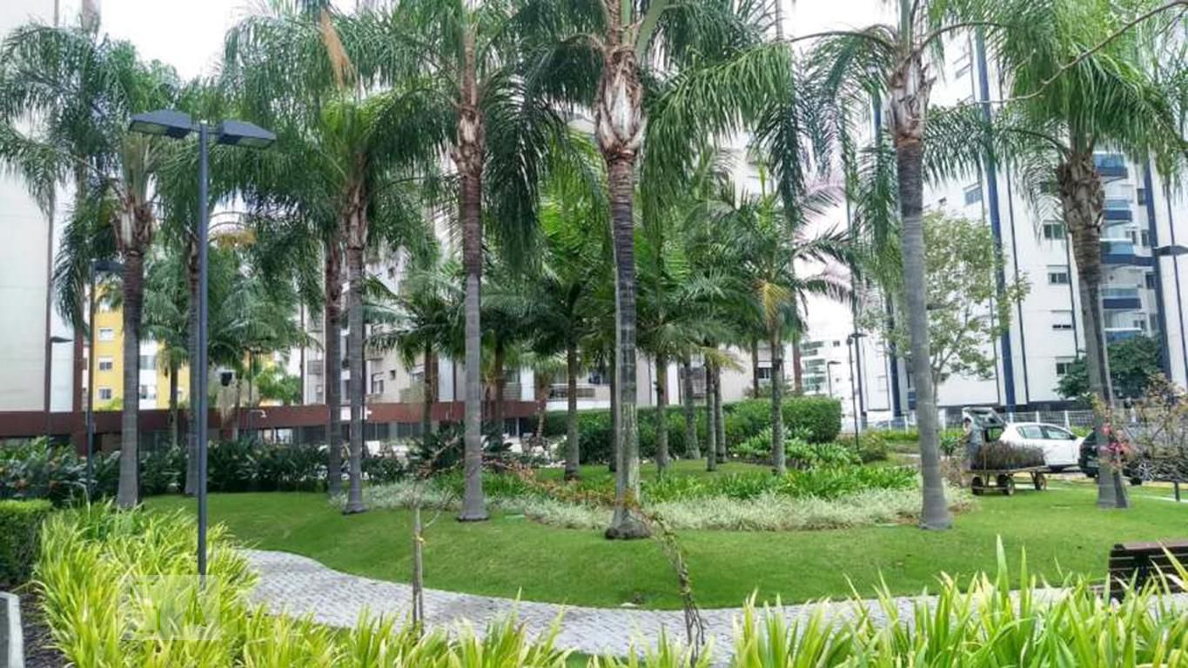 Área Externa - Serra Negra