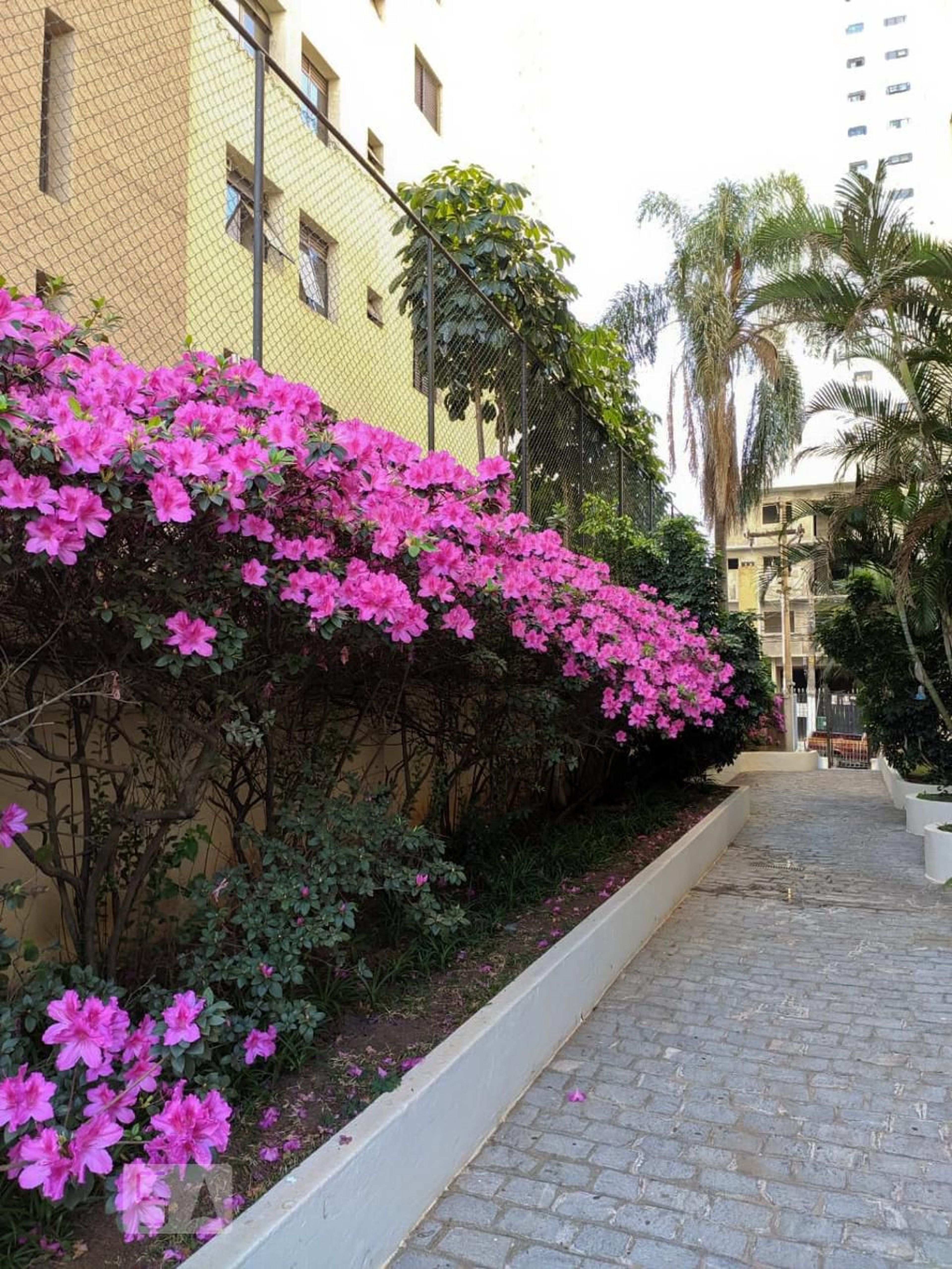 Área Externa - Status III