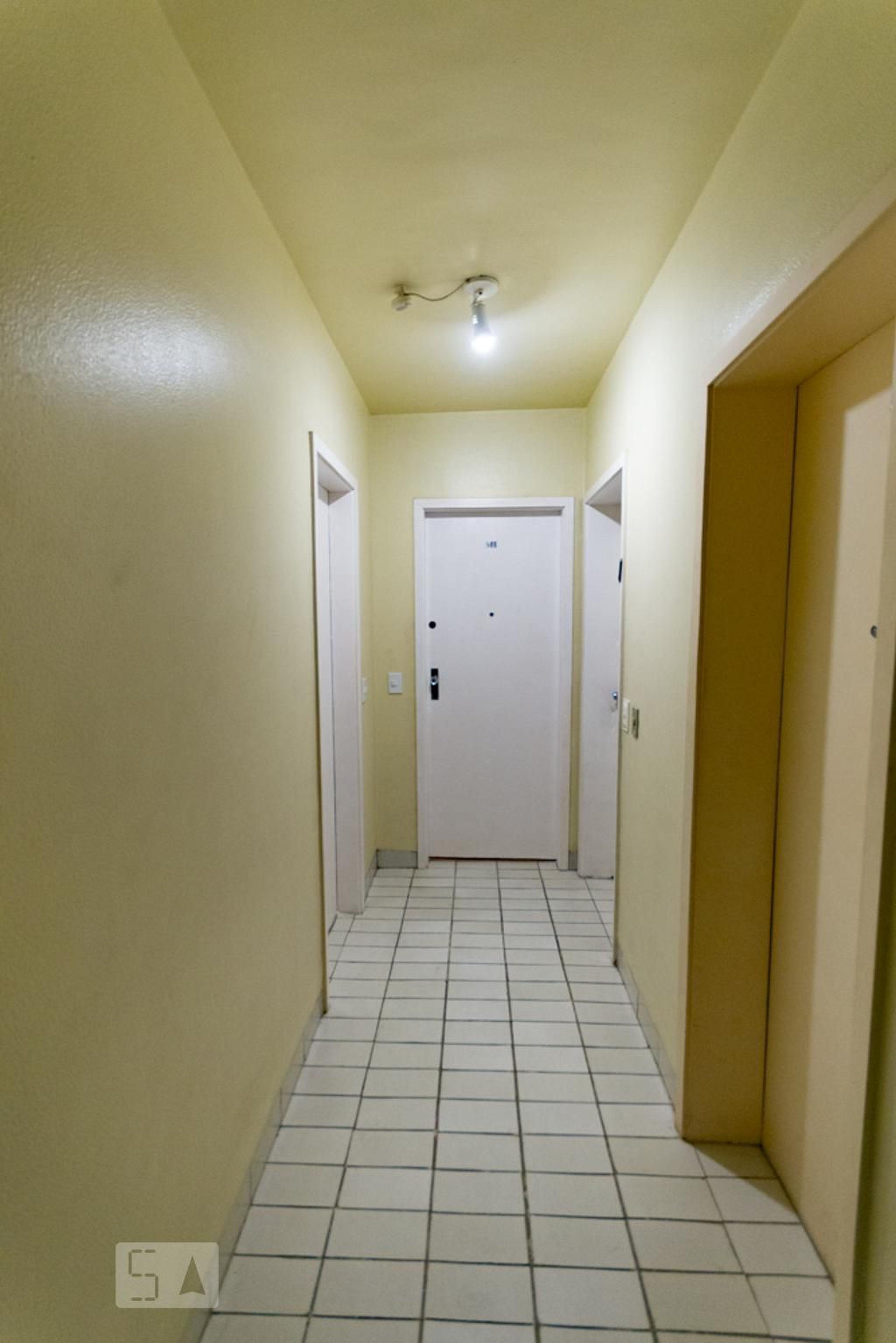 Hall de Entrada - Ernst Haeckel