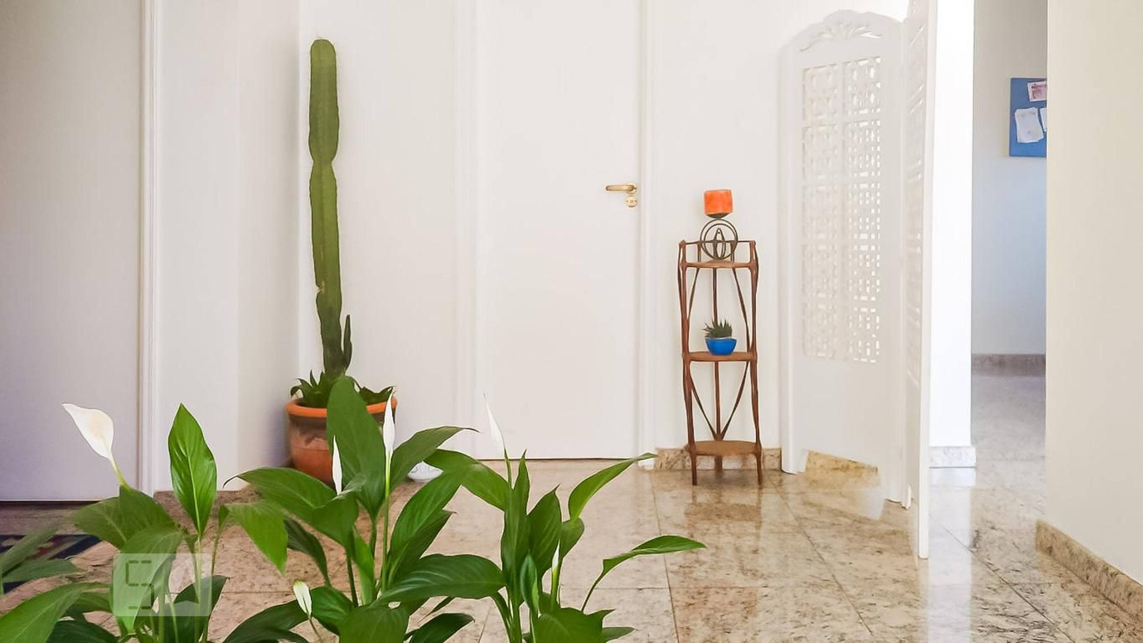 Entrada - Parque Imperador