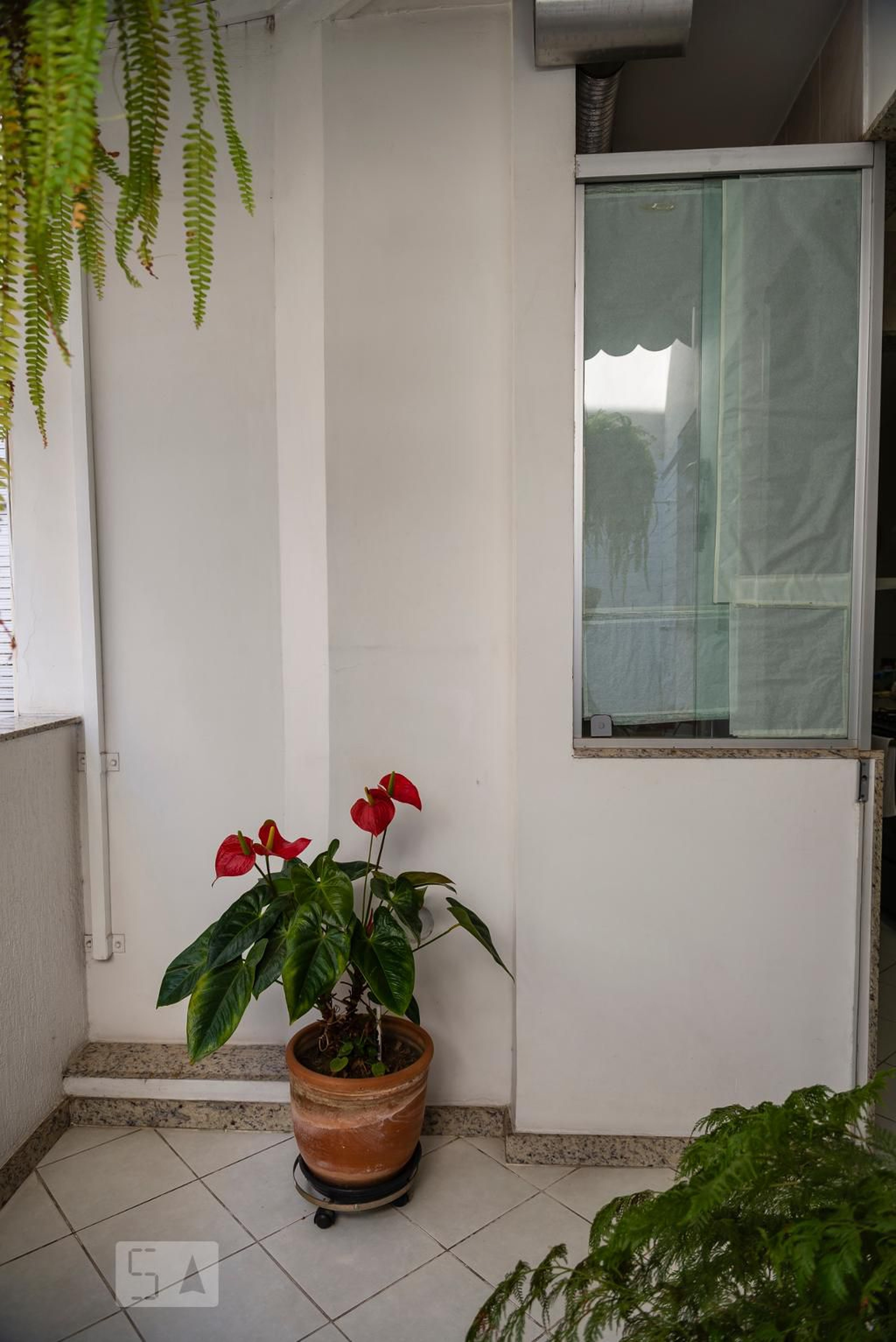 Área Externa - San Rose