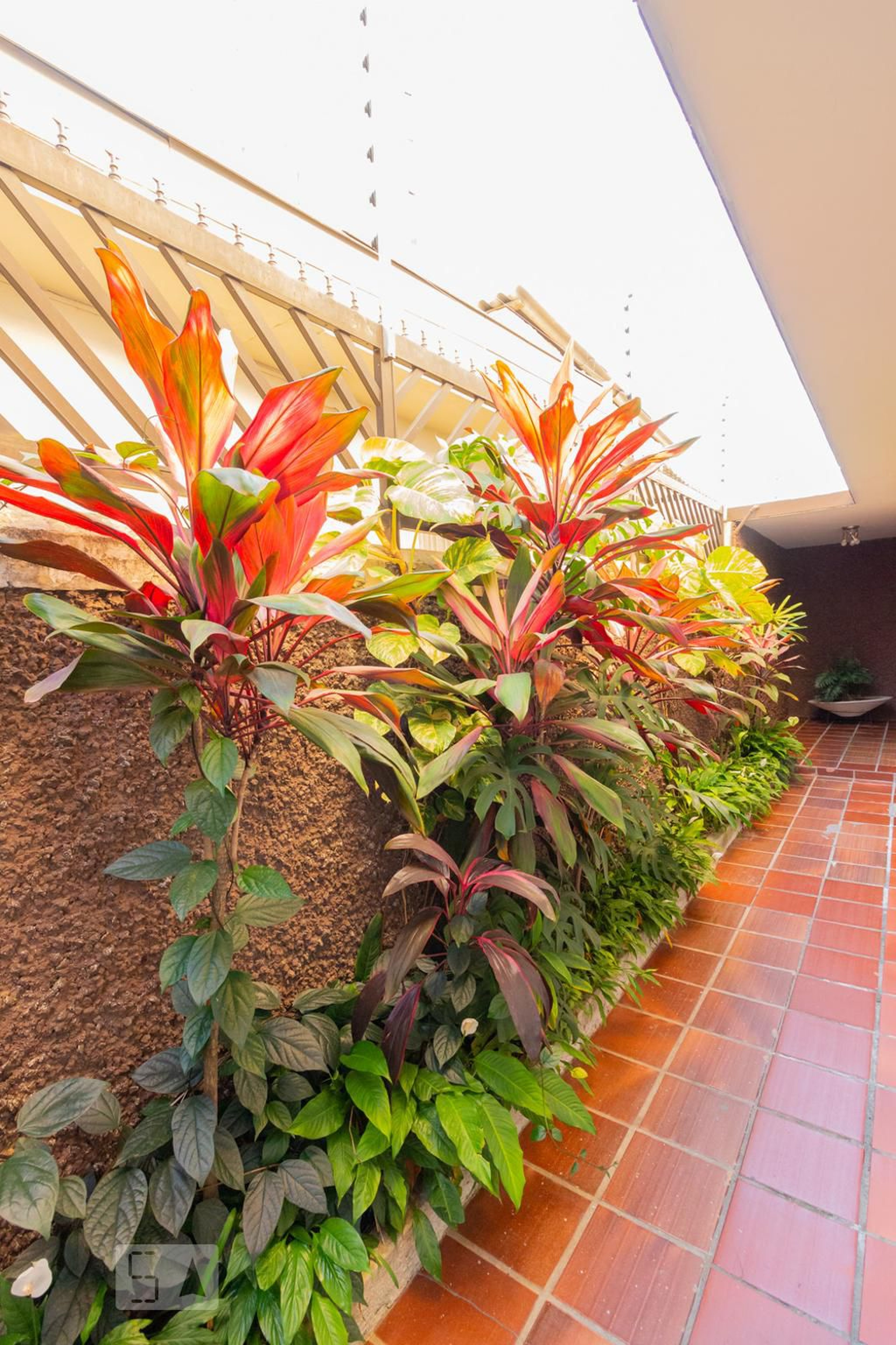 Área comum - Ribeiro