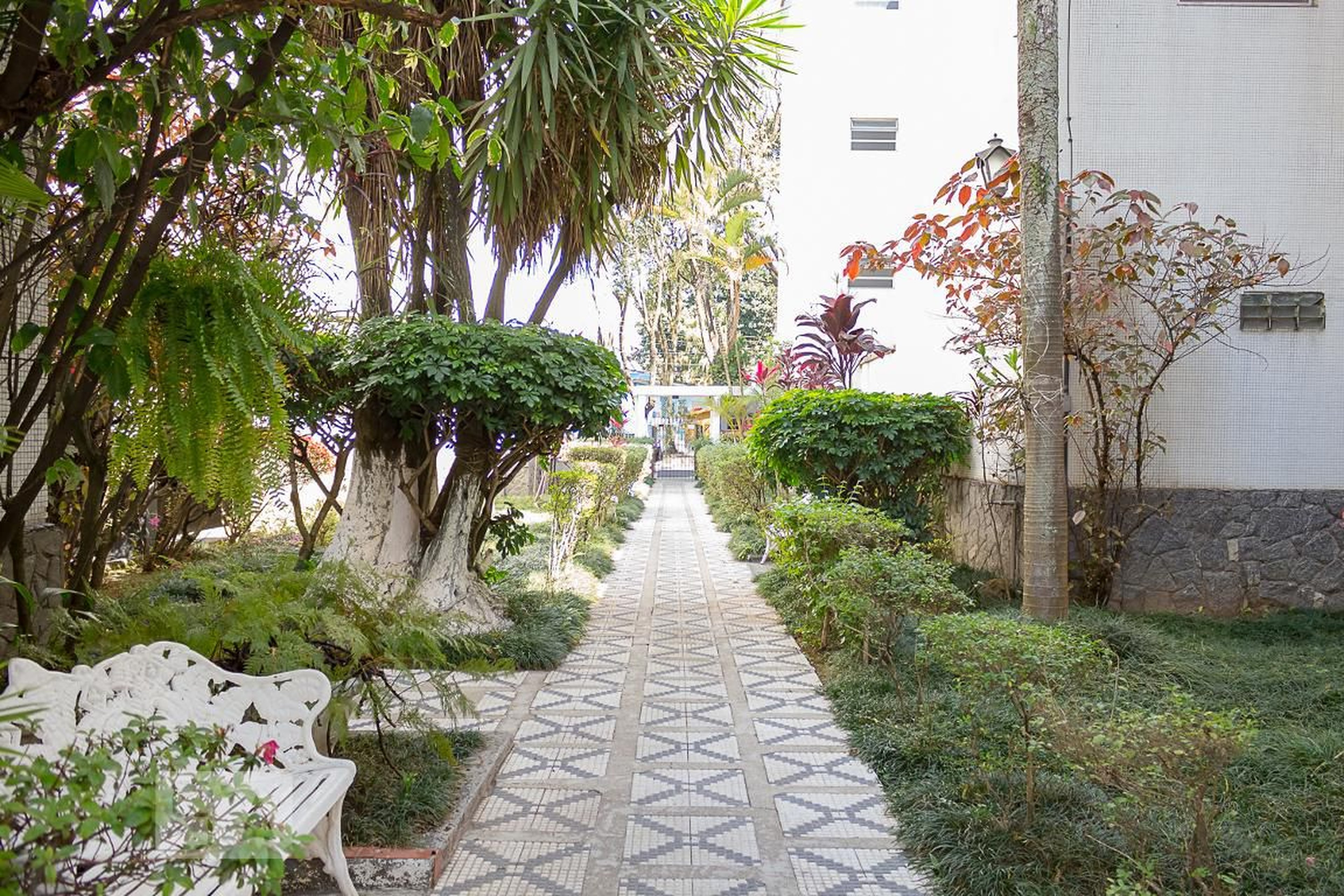 Entrada - Parque Primavera