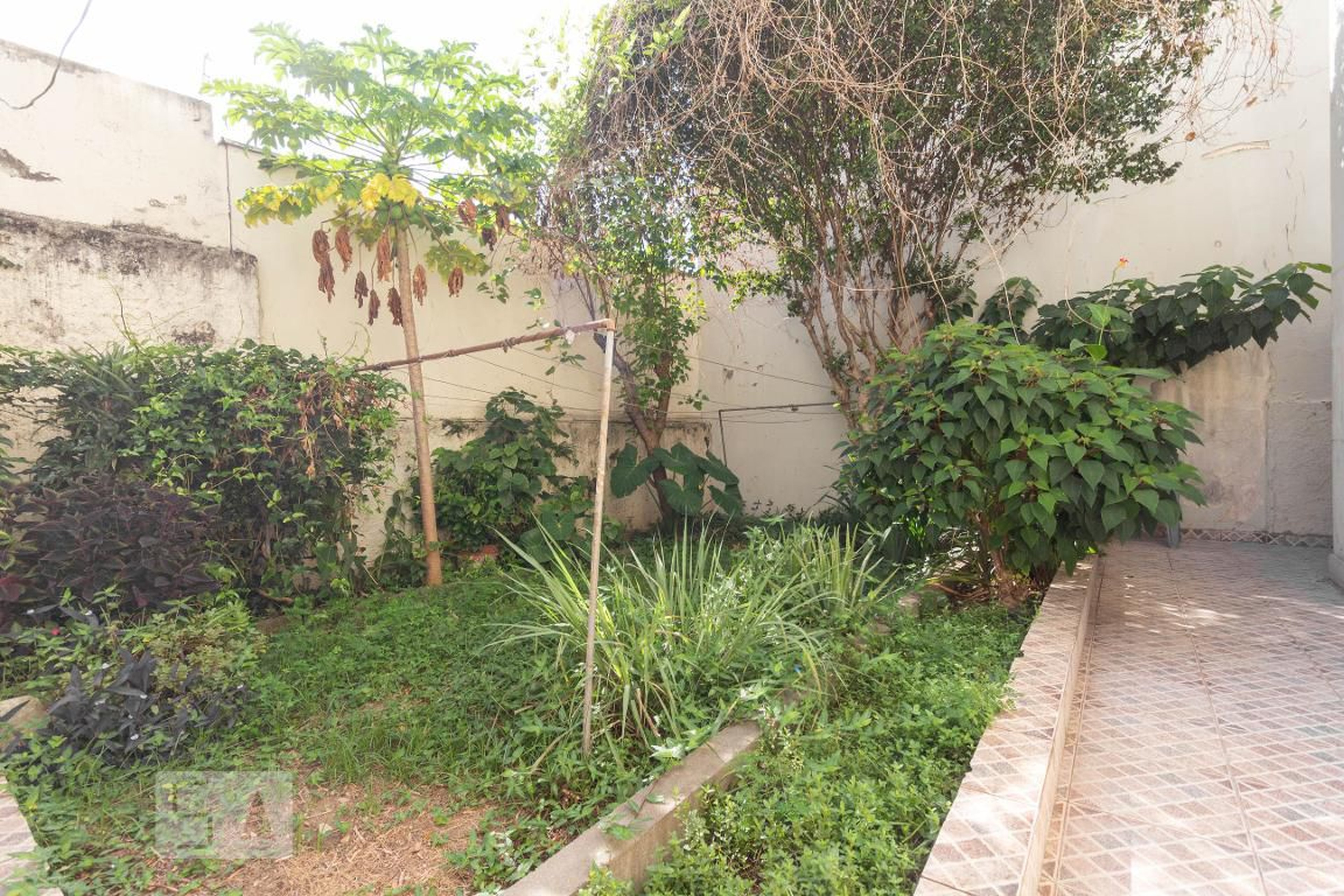 Área Comum - Edifício Assis Brasil