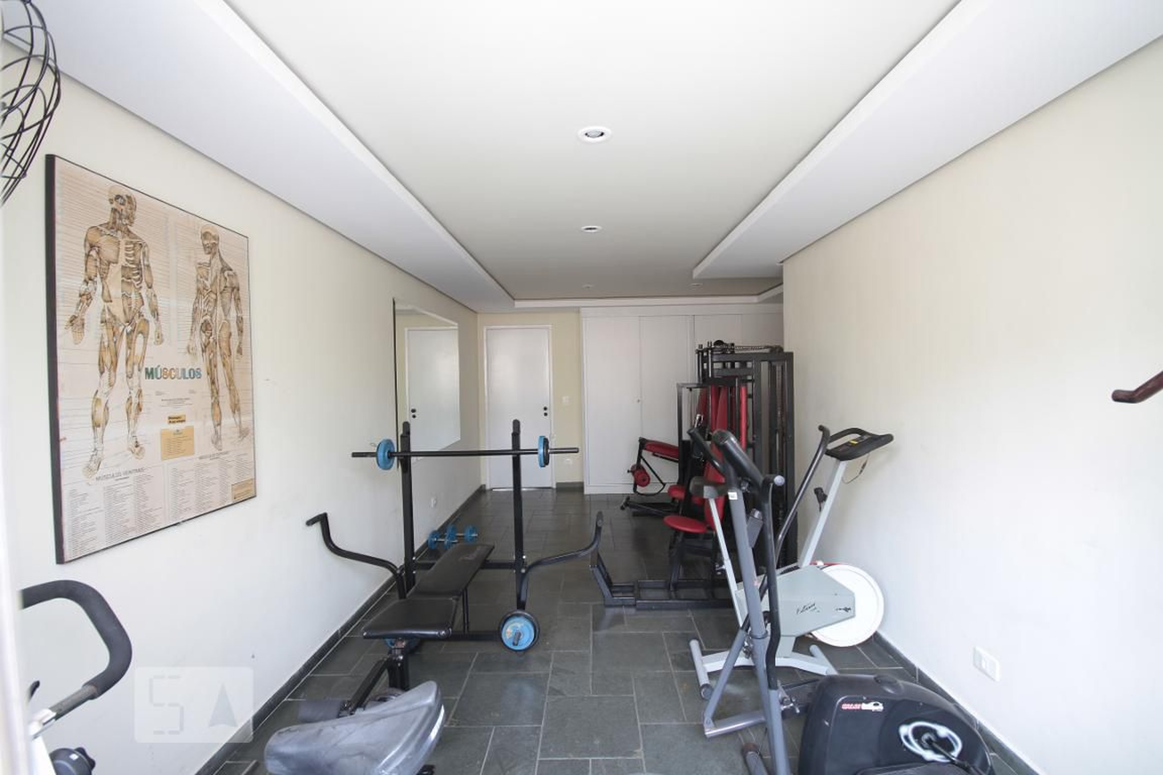 Academia - Christiane