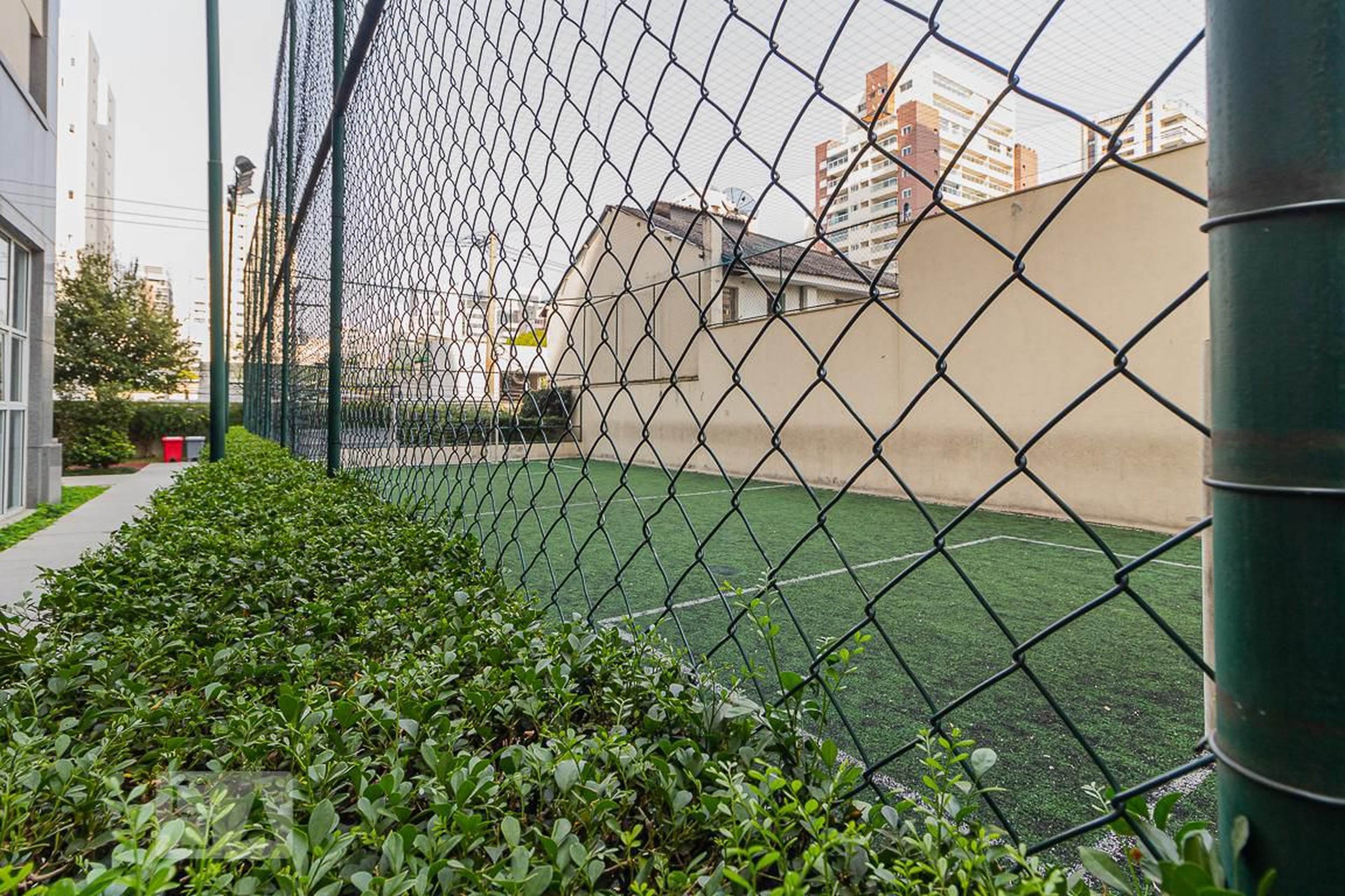 Quadra - Classic  Club