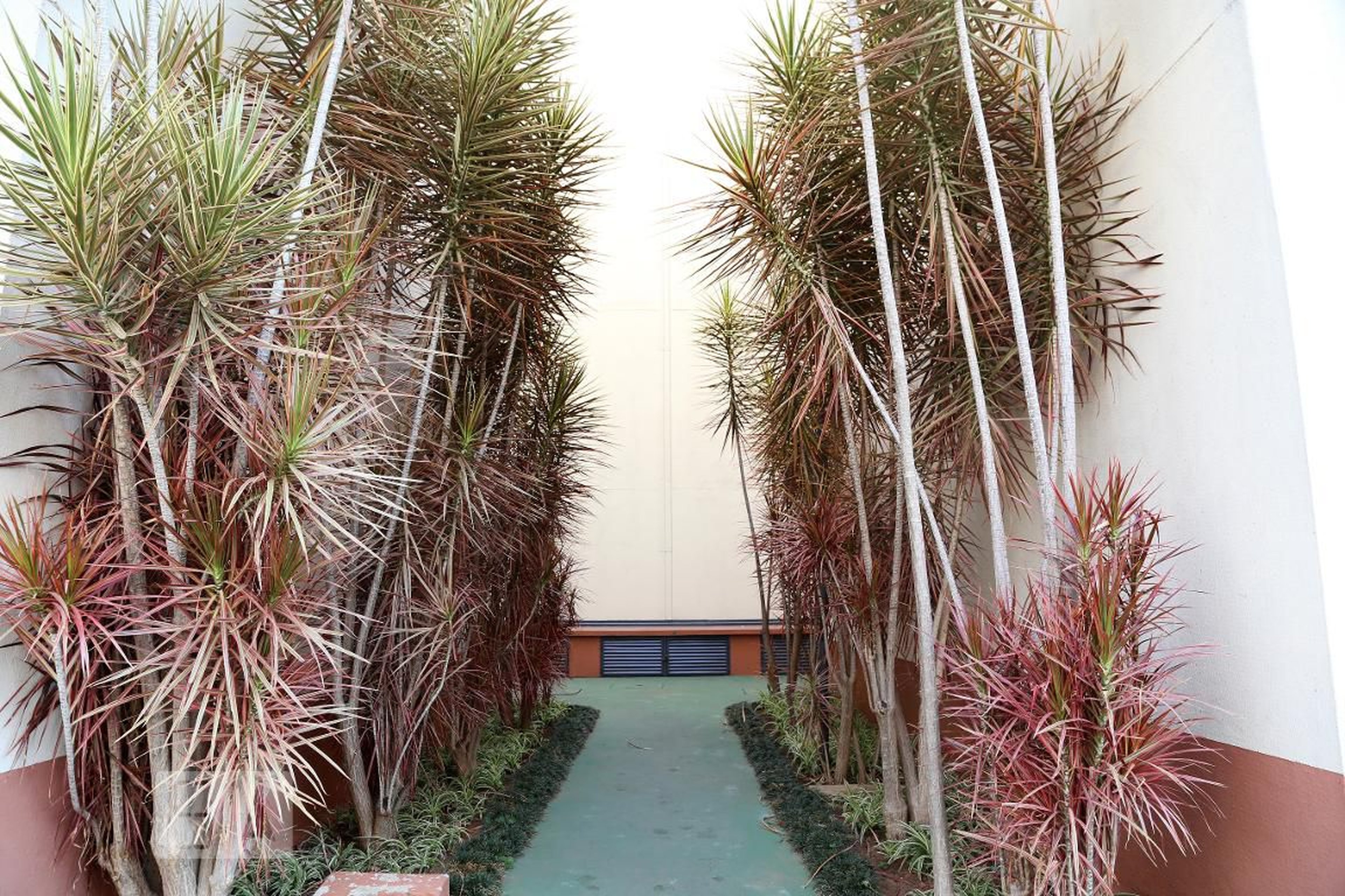 Área Externa - Ilha do Sol