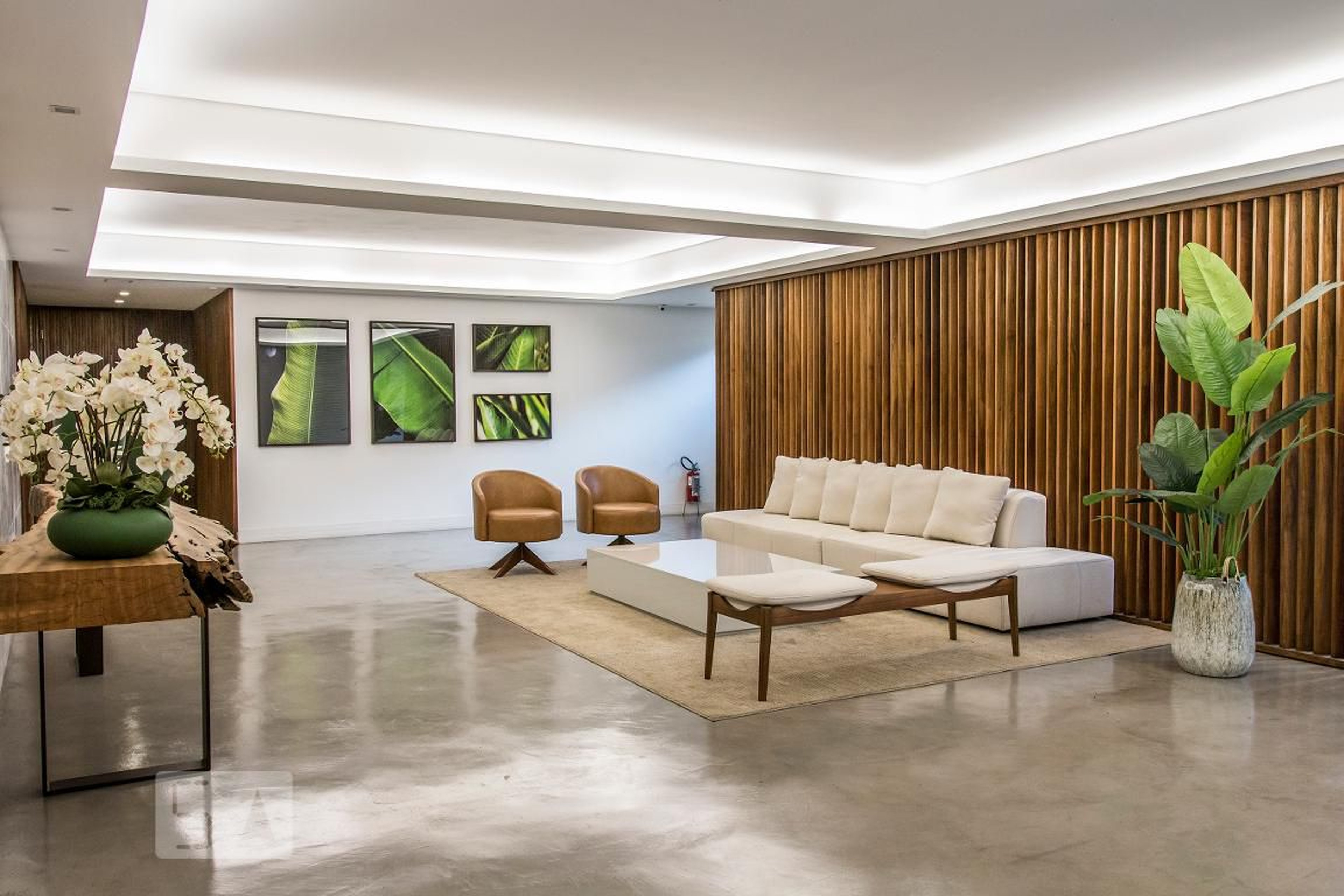 Hall social - River Drive