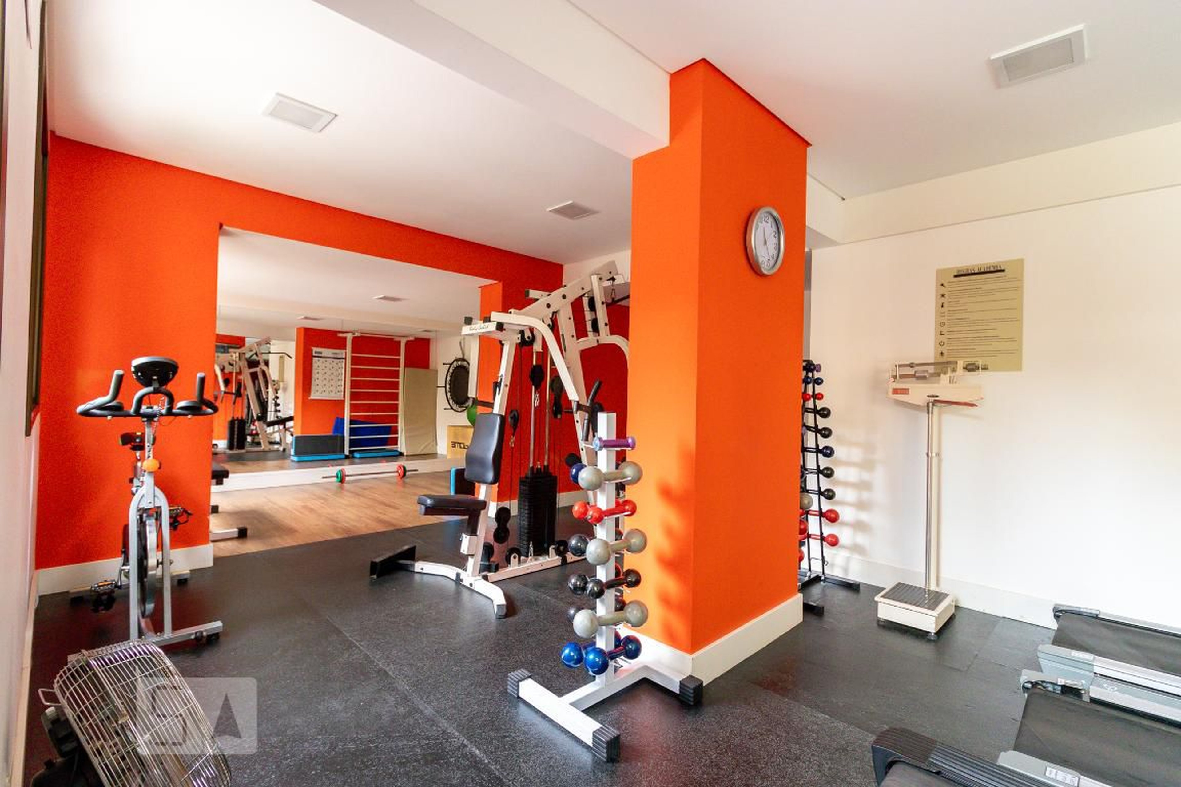 Academia - Plaza Sprada