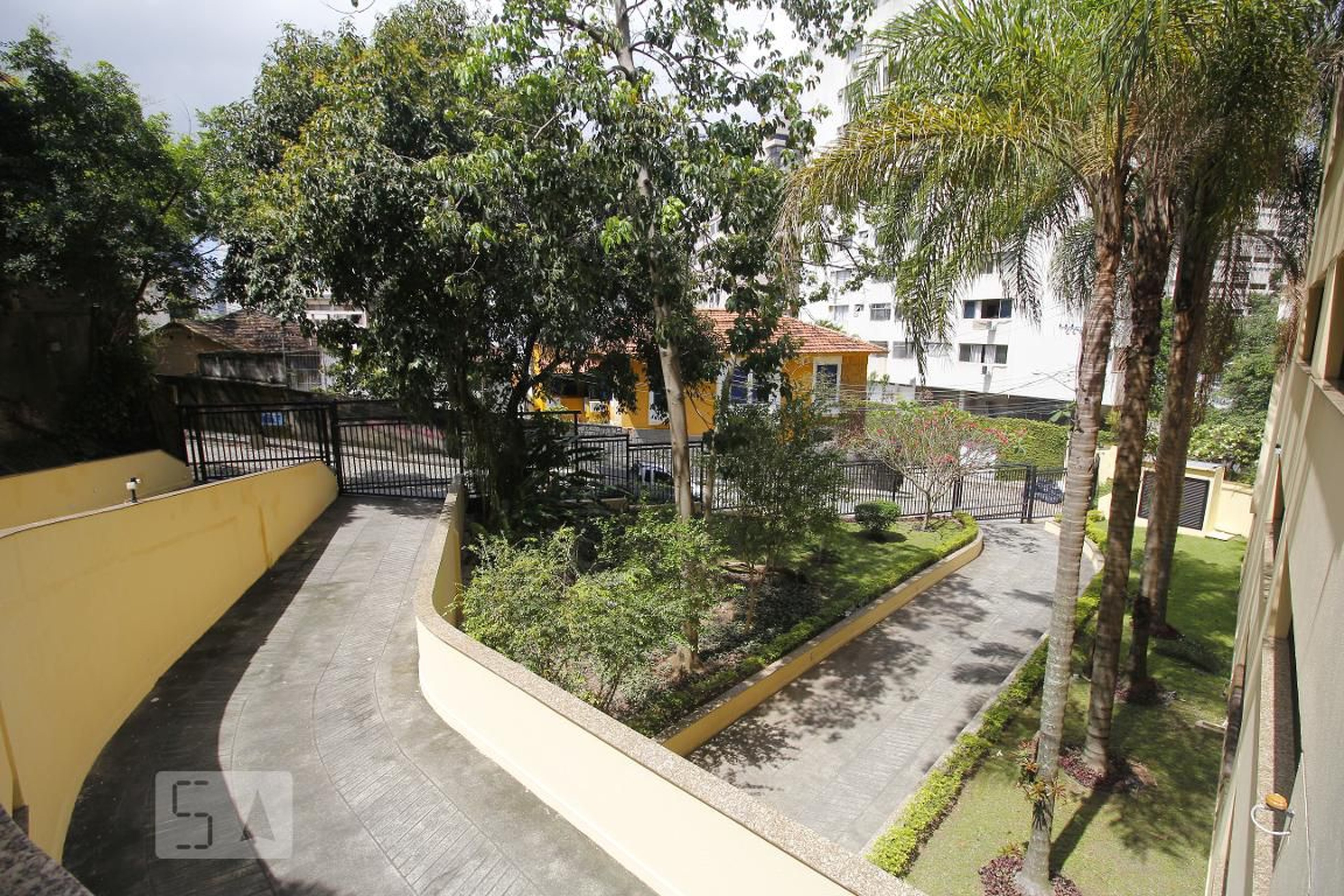 Entrada - Buena Vista