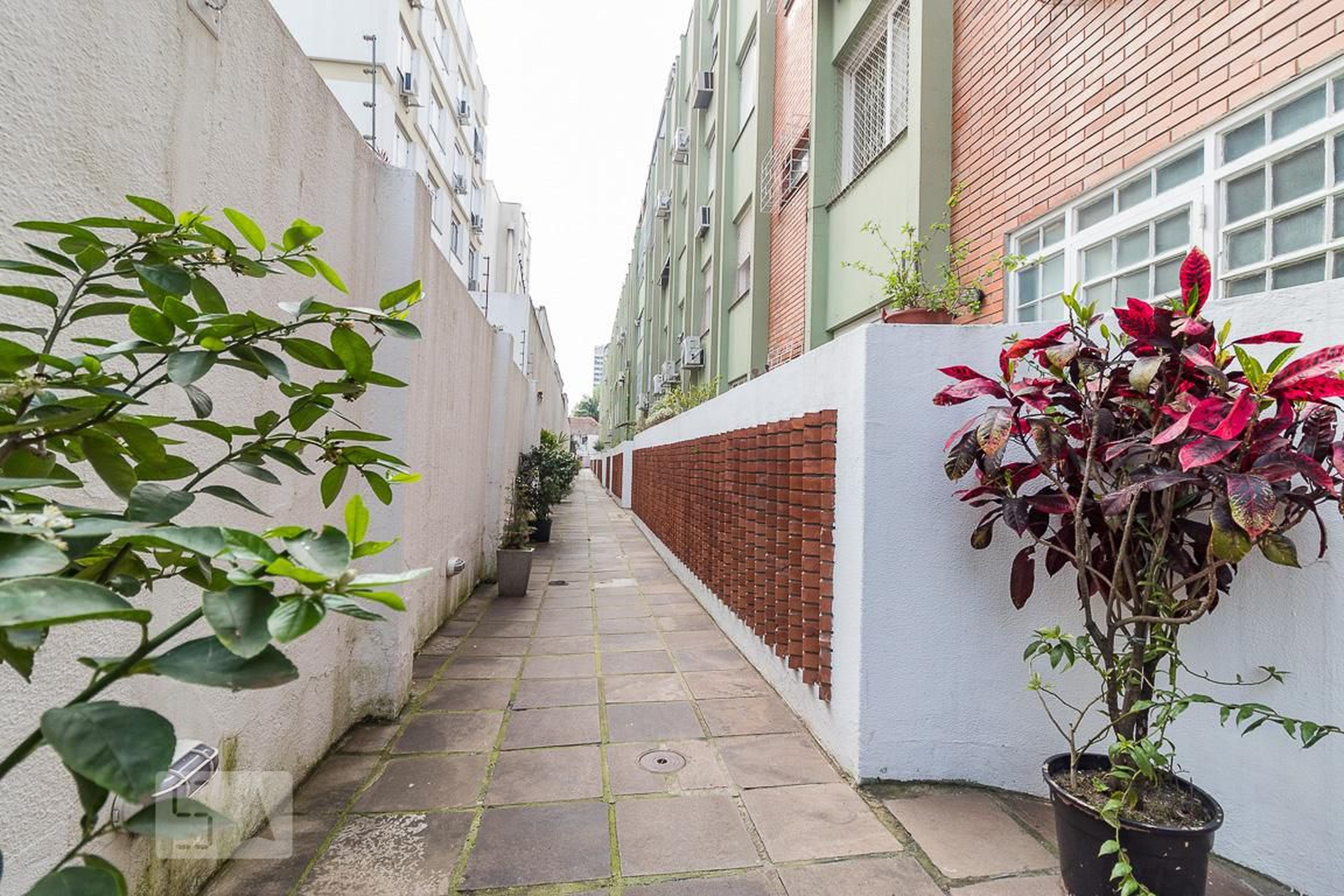 Área comum - Plátano