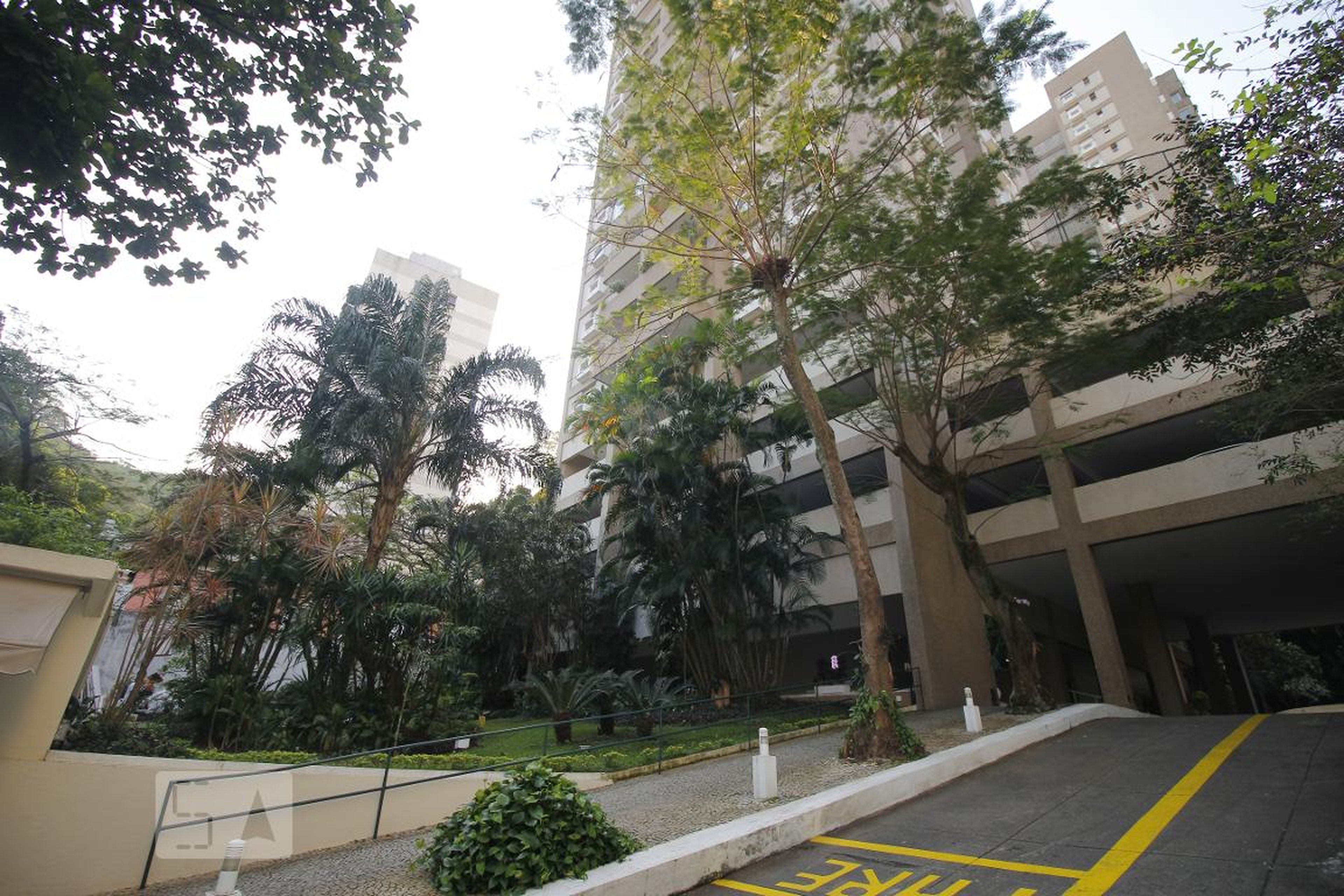 Entrada - 